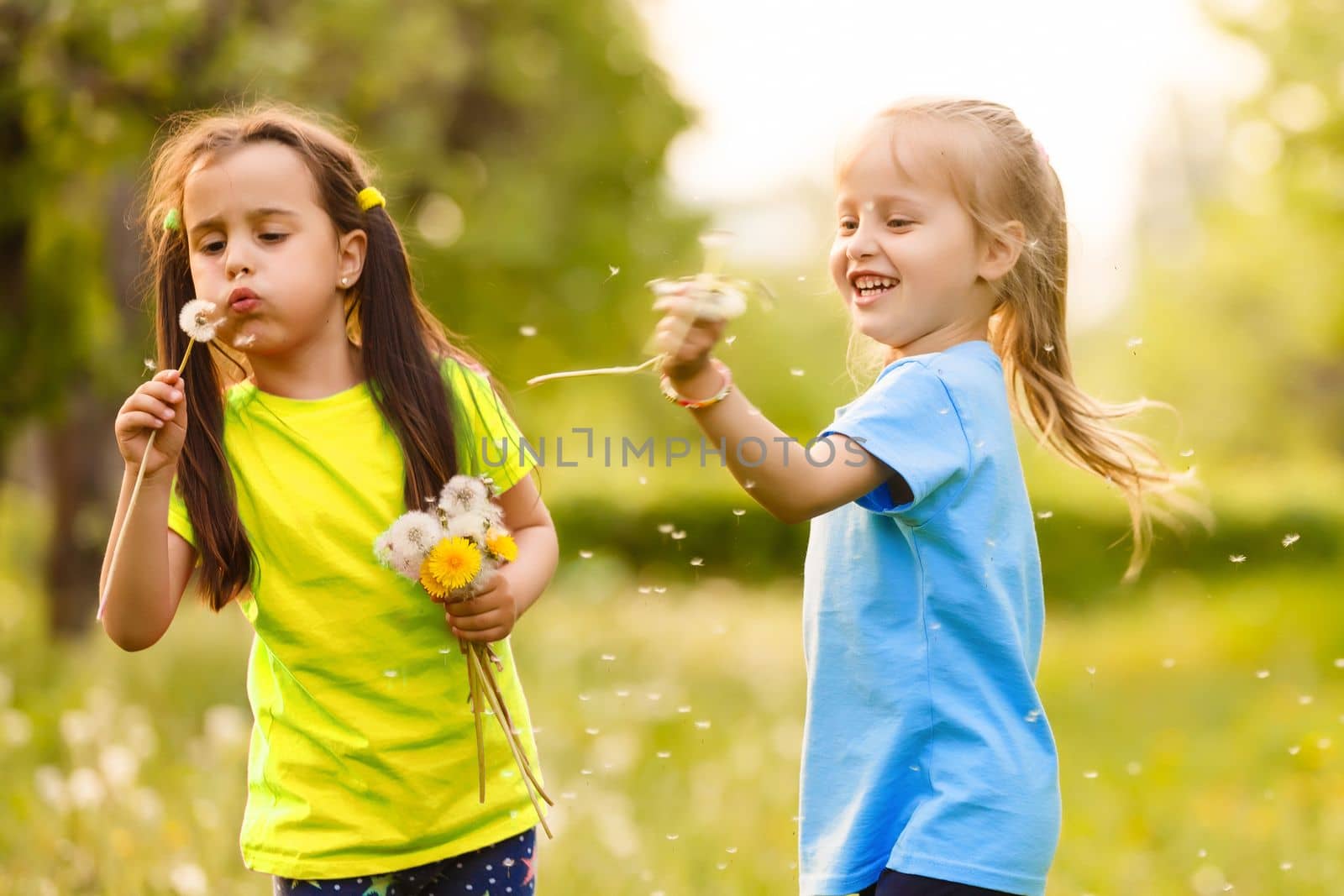 two little girls with dandelions little sister on the background of spring meadow