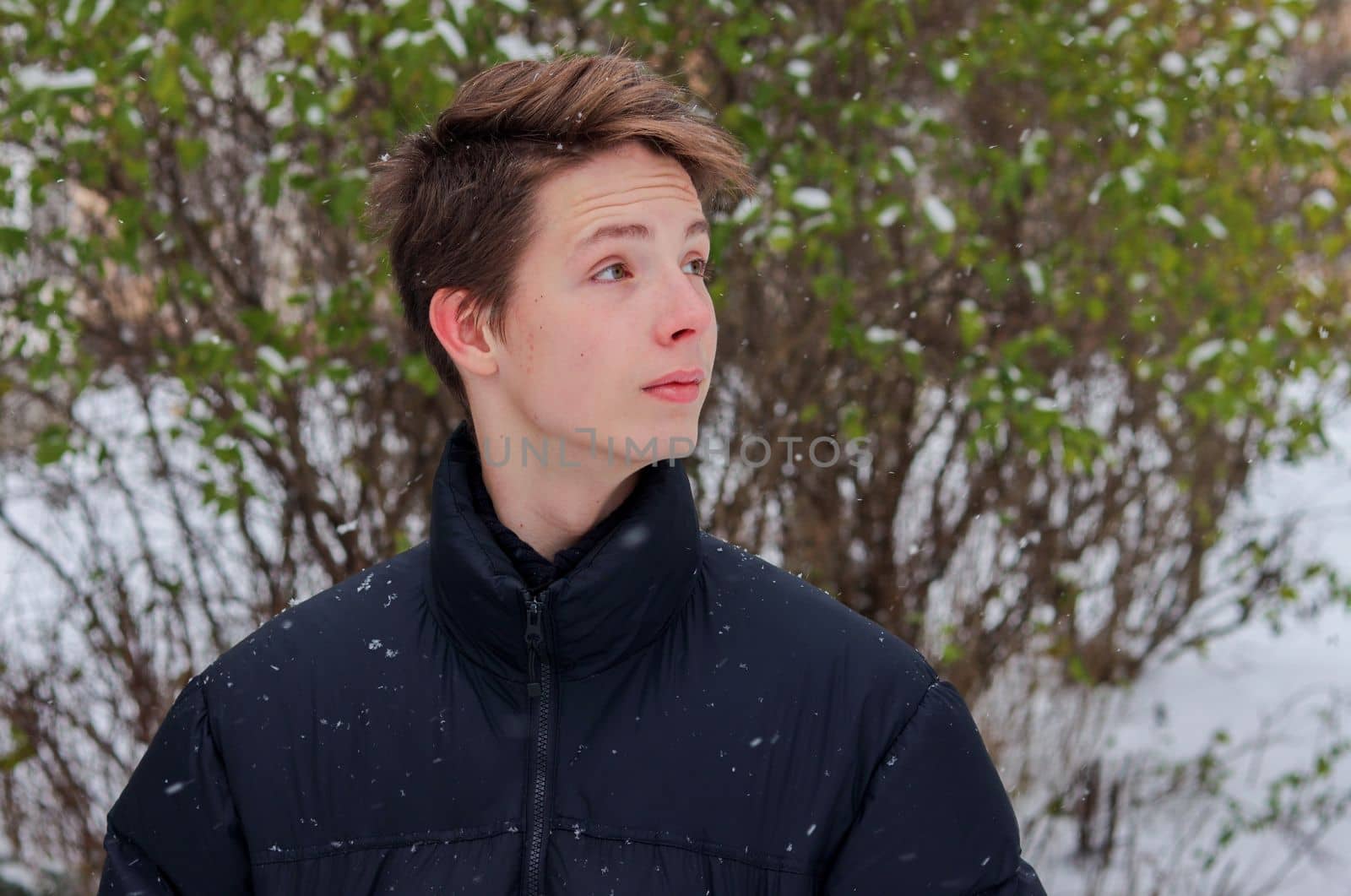 Portrait of a teenage boy close-up against the background of snow and a green bush. by gelog67