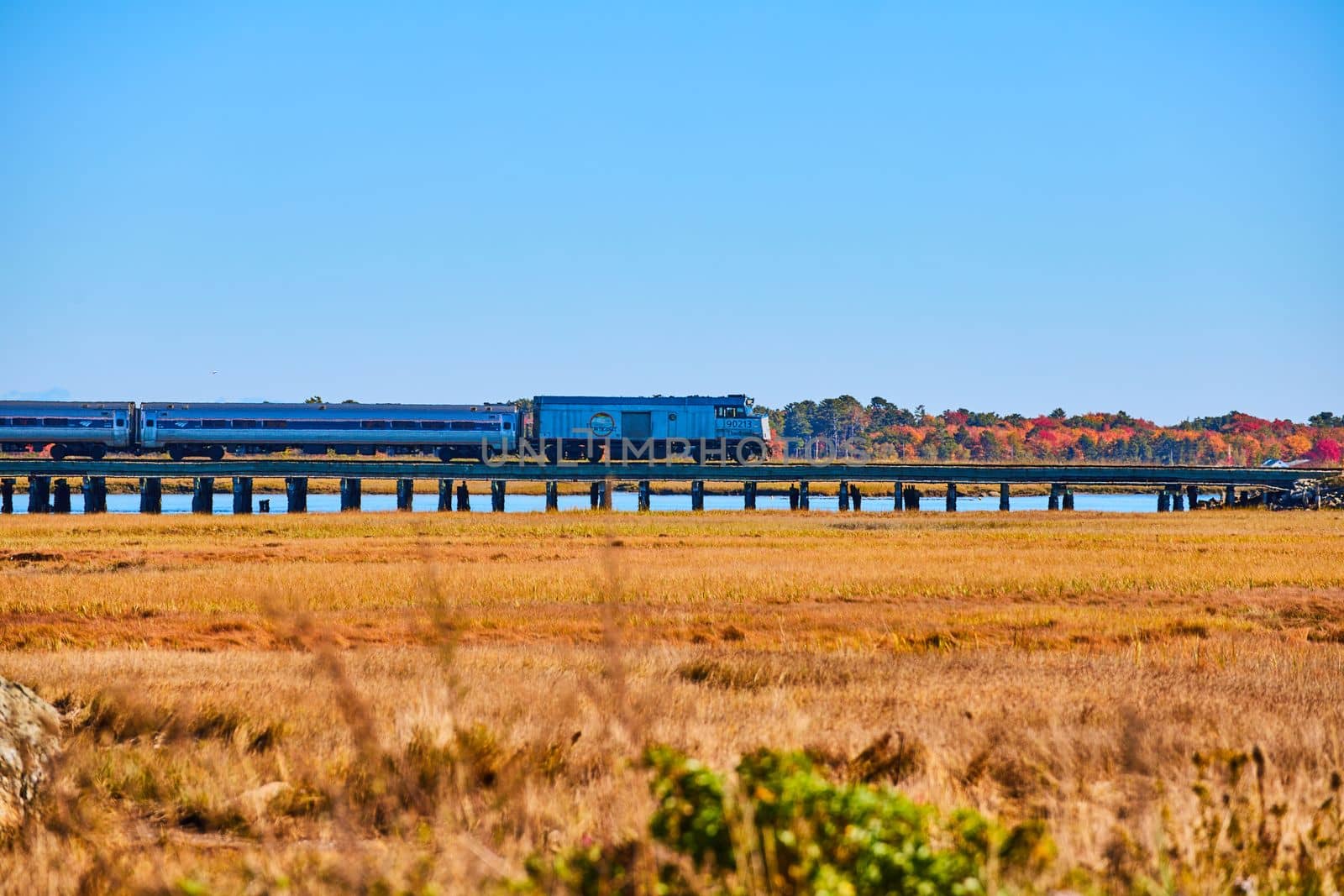Image of Detail of Amtrak train driving across water bridge in marshes during fall