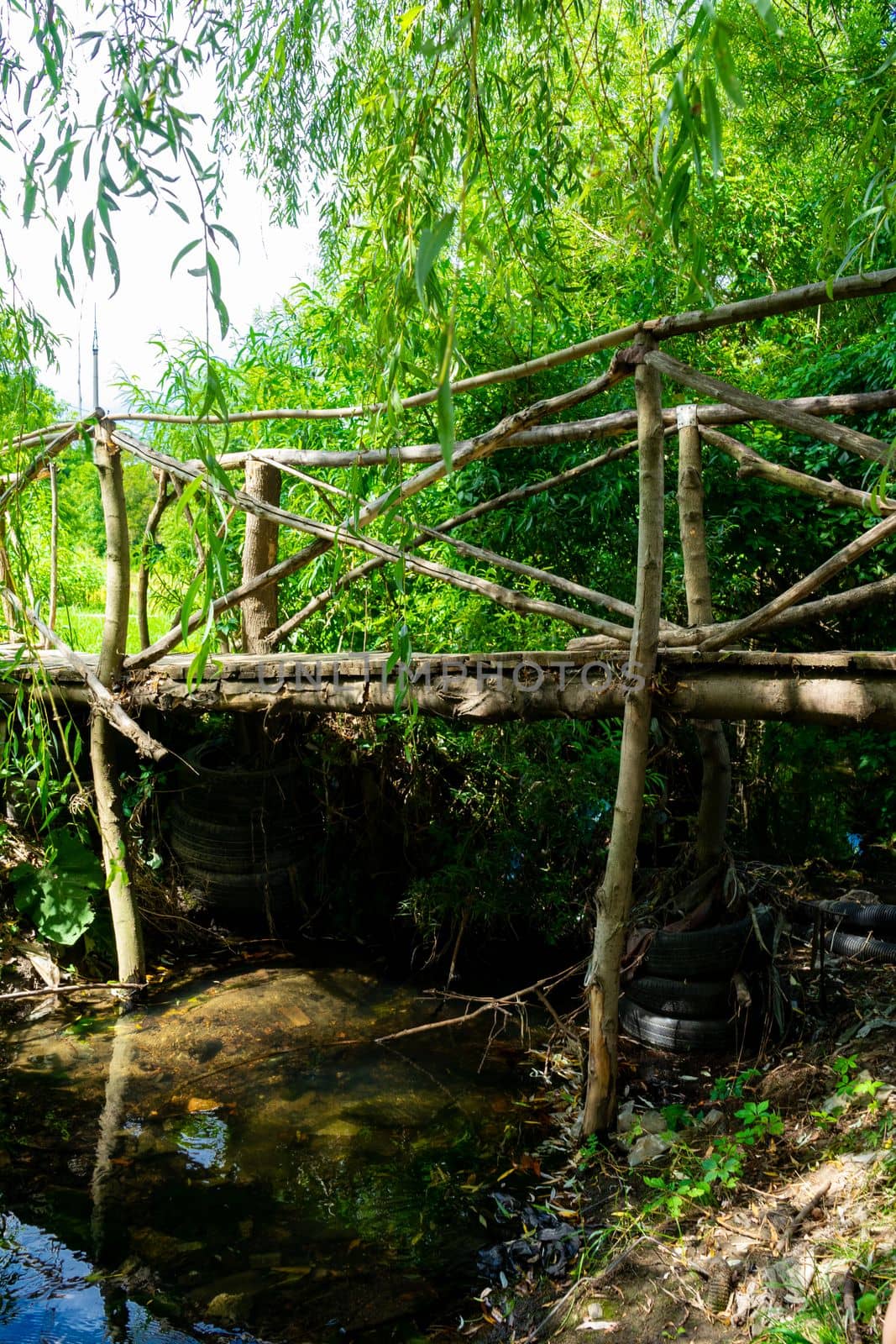 A wooden bridge over a small river under the canopy of green trees.
