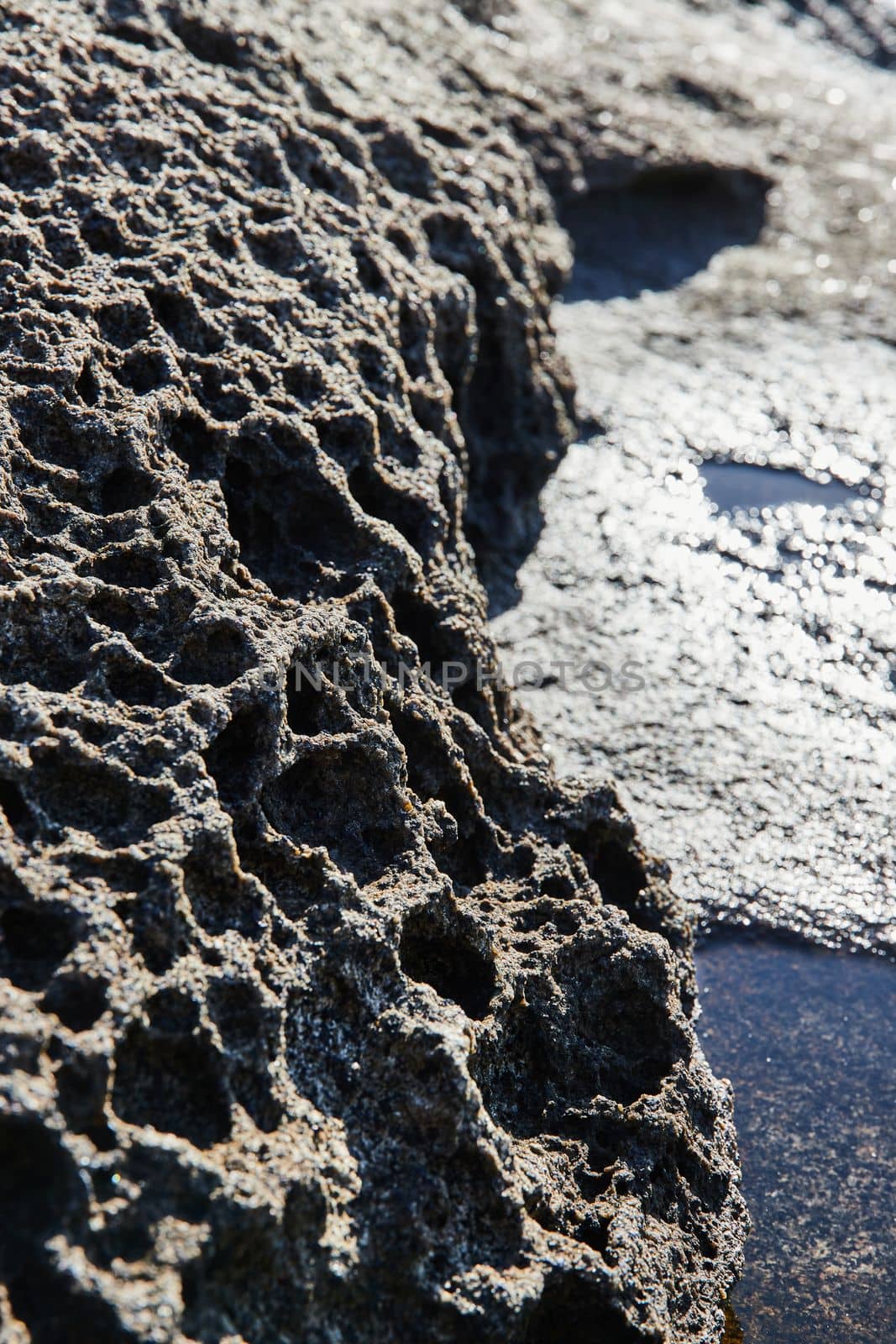 Image of Detail of porous rocks of Maine