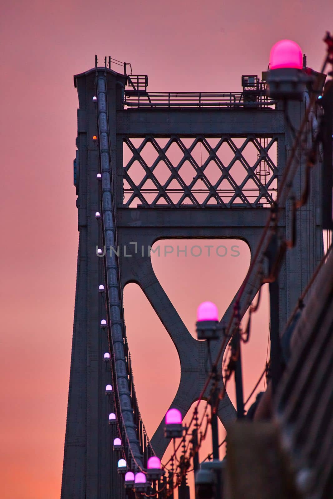 Pink lights in detail on support wires of American bridge with golden light behind by njproductions