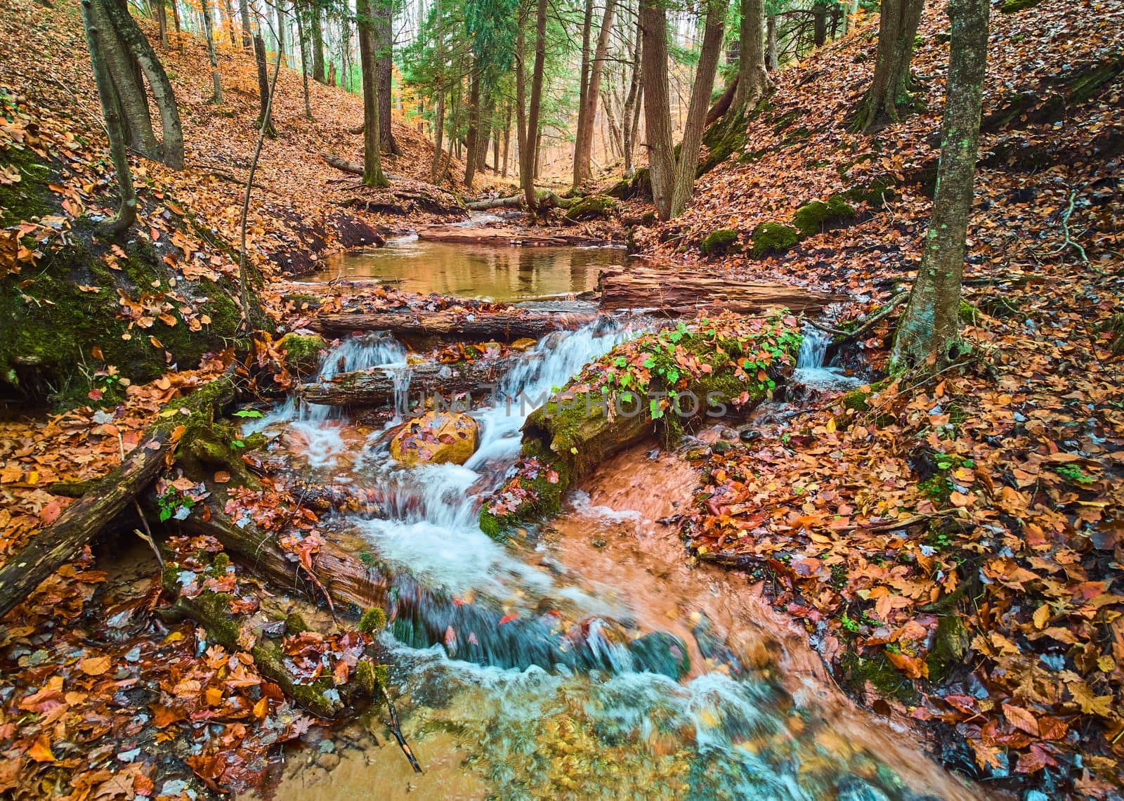 Small river creek with cascading waterfalls in beautiful fall forest covered in orange leaves by njproductions