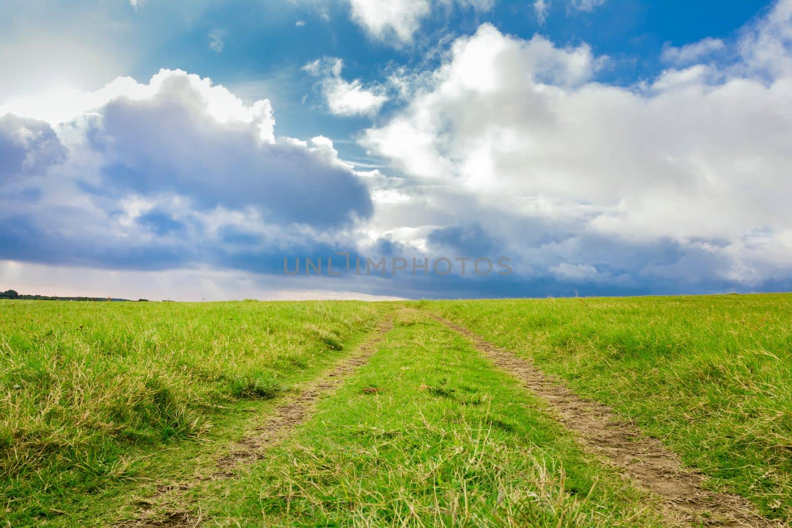 Green country road with clouds in the background. Idyllic view of rural road between green fields with blue sky and clouds, Landscape of a green path with clouds and blue sky in the background by isaiphoto