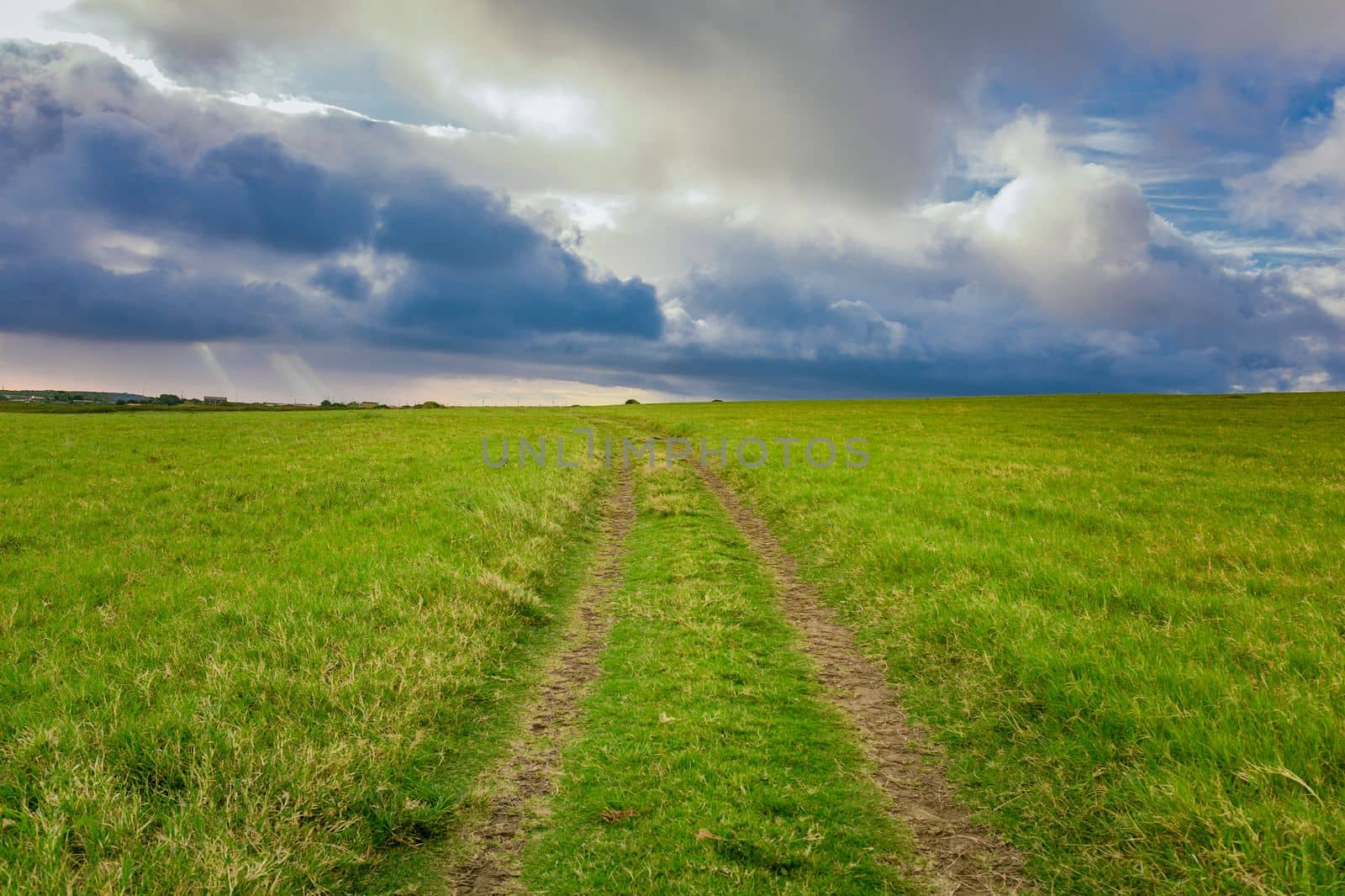 Landscape of a green path with clouds and blue sky in the background. Green country road with clouds in the background. Idyllic view of rural road between green fields with blue sky and clouds by isaiphoto
