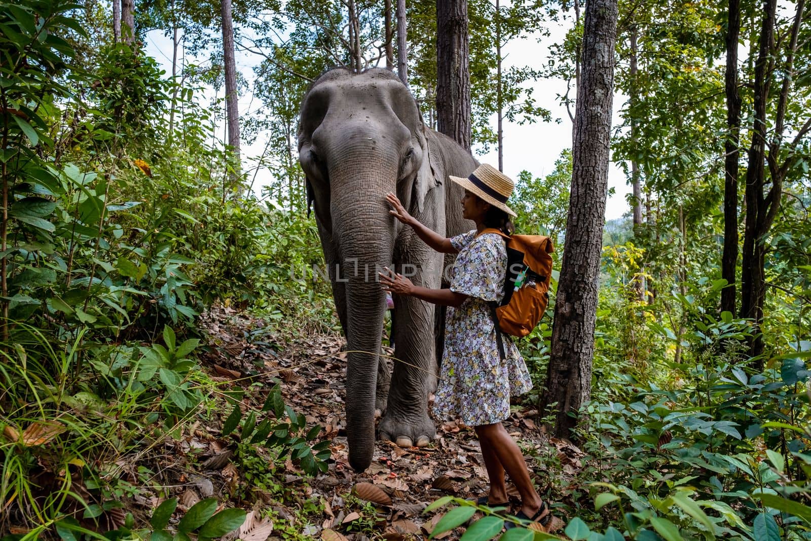 Asian women visiting a Elephant sanctuary in Chiang Mai Thailand, girl with elephant in the jungle by fokkebok