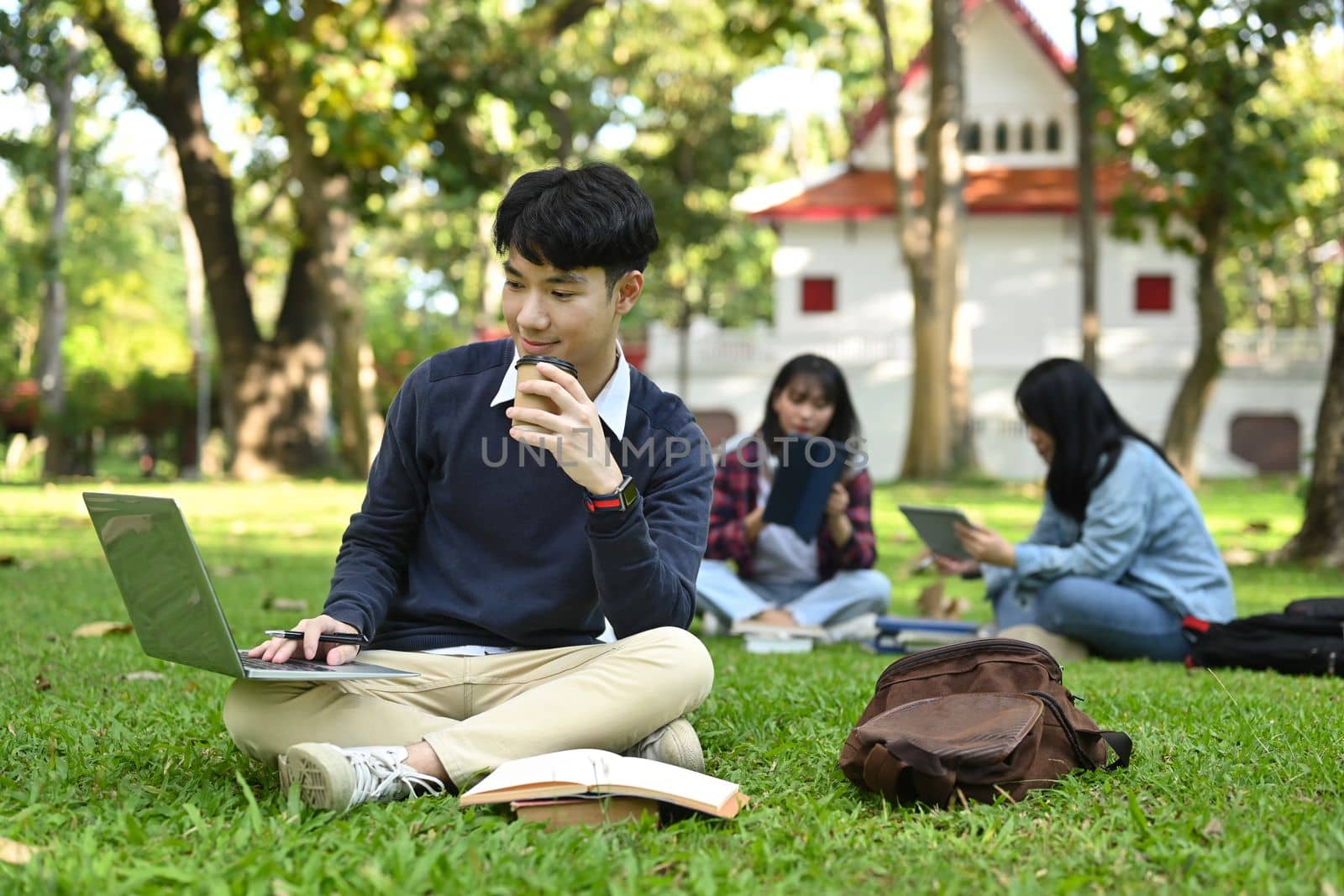 Smiling young asian man sitting on campus lawn and working on laptop computer. Education and lifestyle concept.