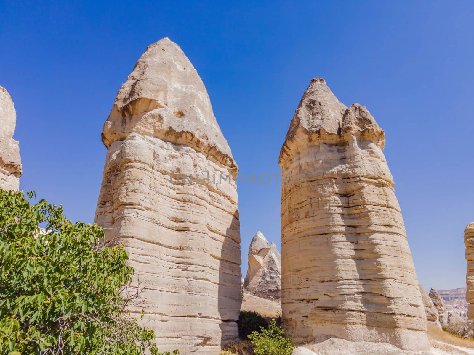 Unique geological formations in Love Valley in Cappadocia, popular travel destination in Turkey by galitskaya