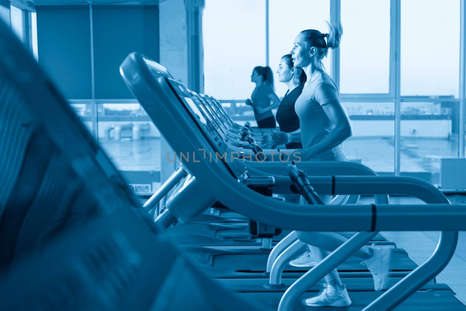 group of young women running on treadmills in modern sport gym by Mariakray
