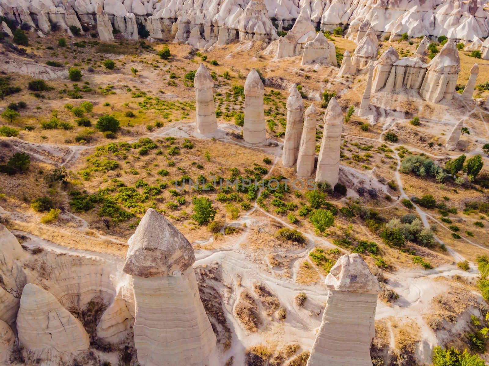 Unique geological formations in Love Valley in Cappadocia, popular travel destination in Turkey by galitskaya