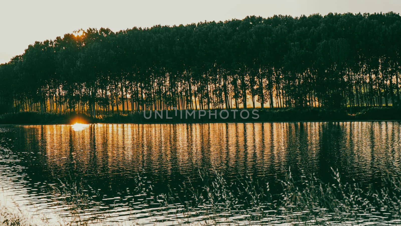 sunset in the Po river in Emilia Romagna, Italy