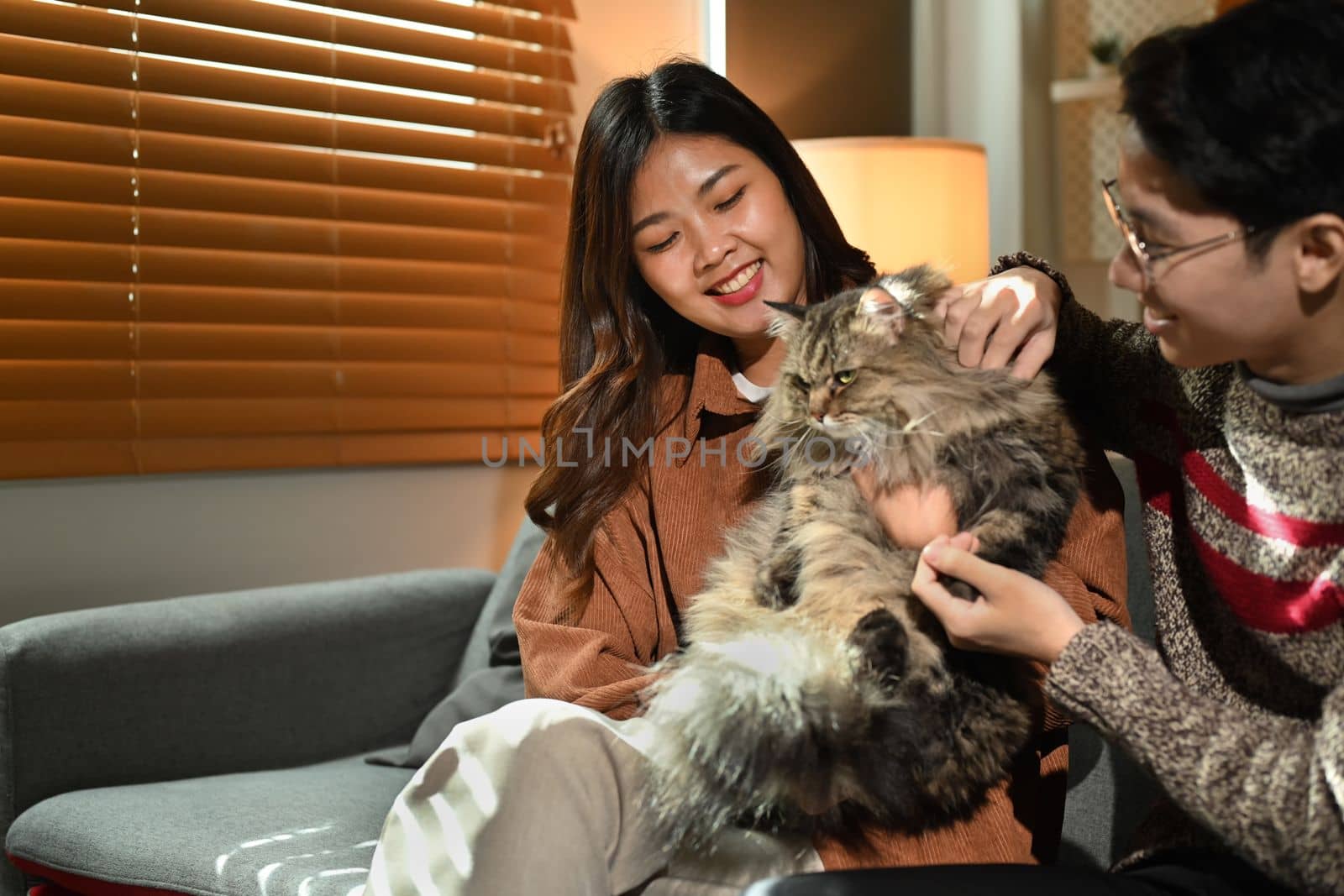 Young couple bonding, playing with cat while resting on couch and spending time together at cozy home.