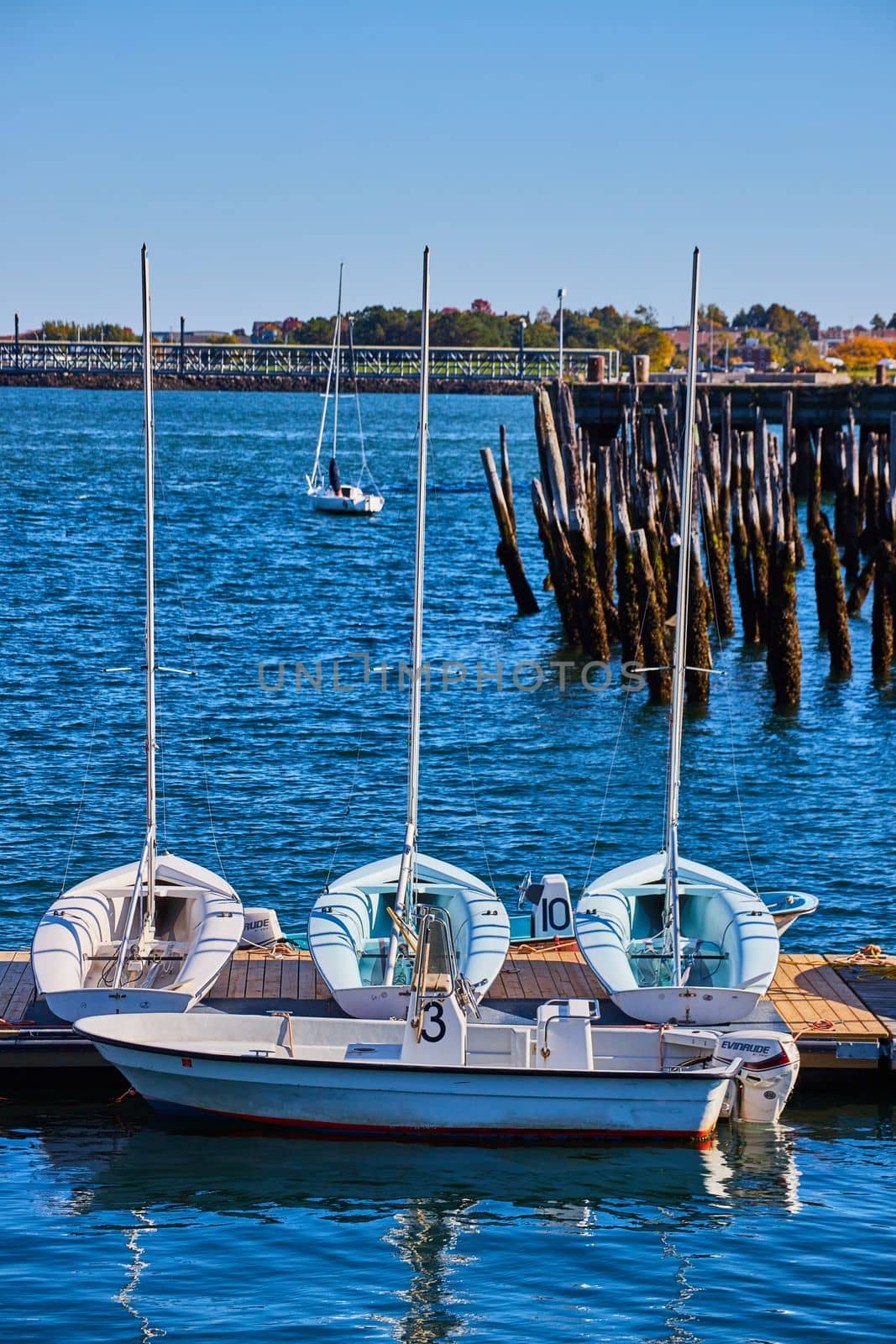 Image of Trio of small white boats on dock with old pilings in background