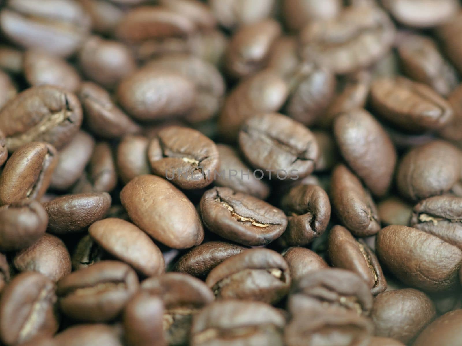 brown roasted coffee beans macro closeup making the blend series