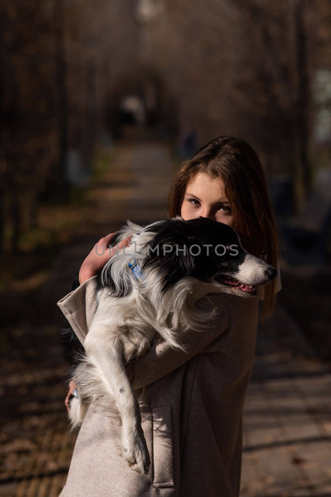 Caucasian woman holding a border collie in her arms while walking in the autumn park. Portrait of a girl with a dog