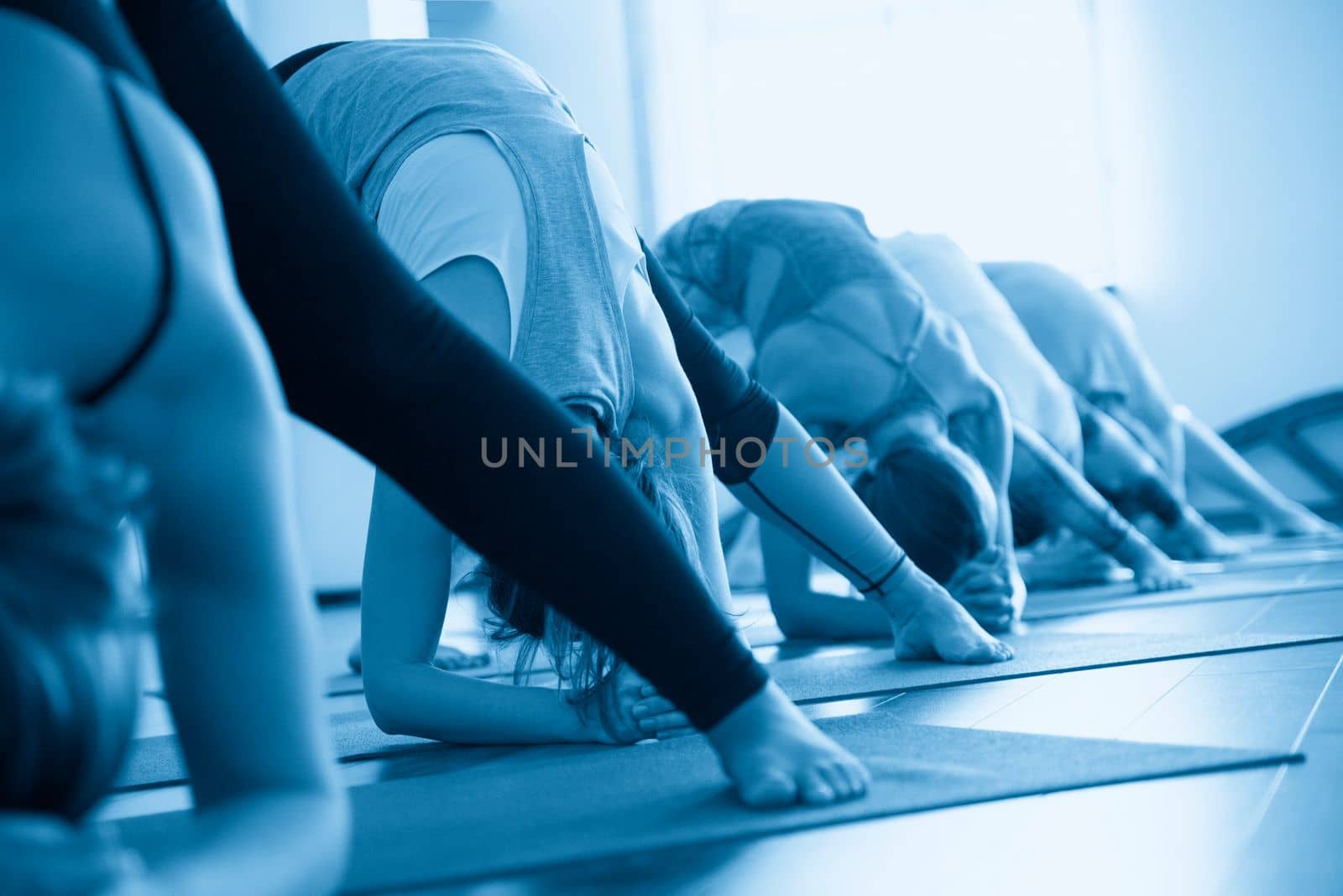 Yoga Class, Group of People Relaxing and Doing Yoga pose