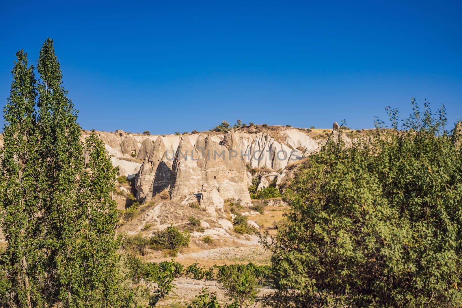 Unique geological formations in Love Valley in Cappadocia, popular travel destination in Turkey by galitskaya