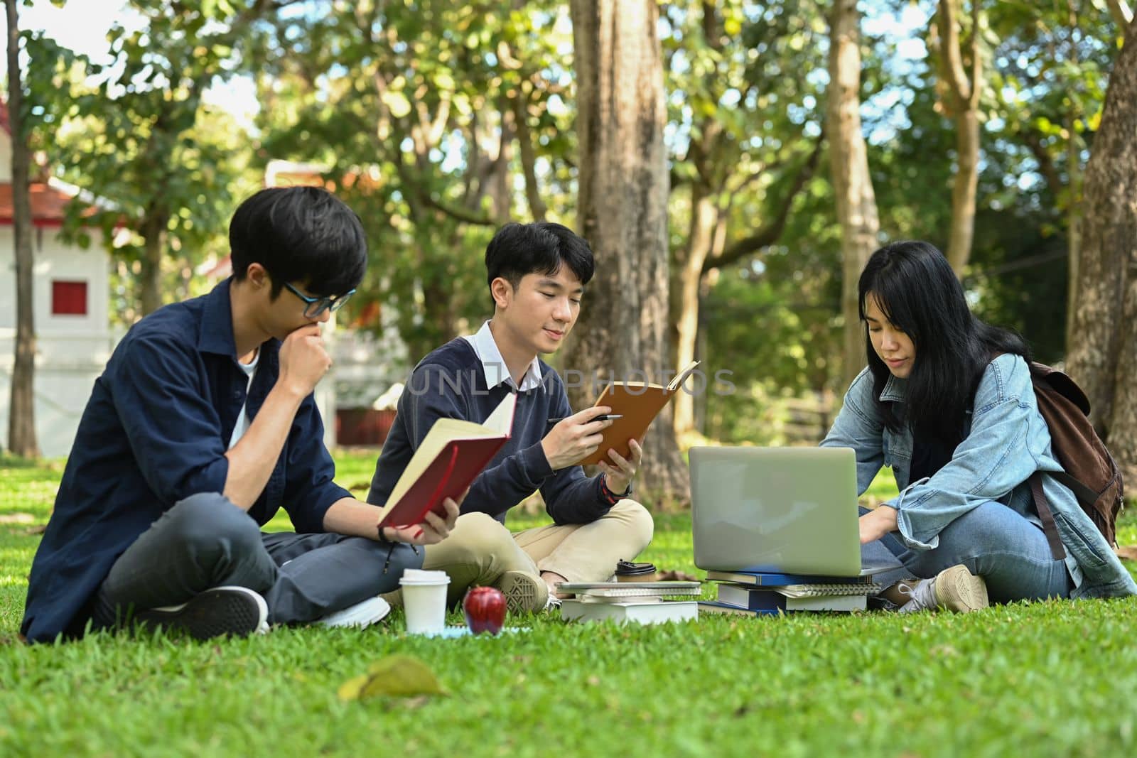 Group of students reading books, preparing for exam while under tree at sunny beautiful day. Education and lifestyle concept by prathanchorruangsak