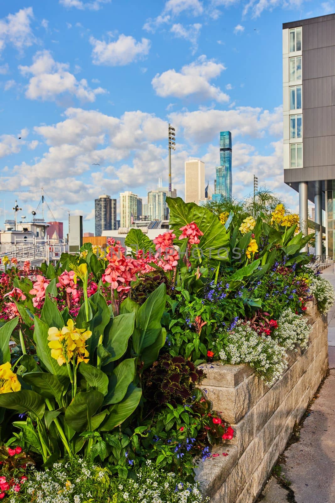 Image of Beautiful flower beds at Navy Pier in Chicago with skyline in distance