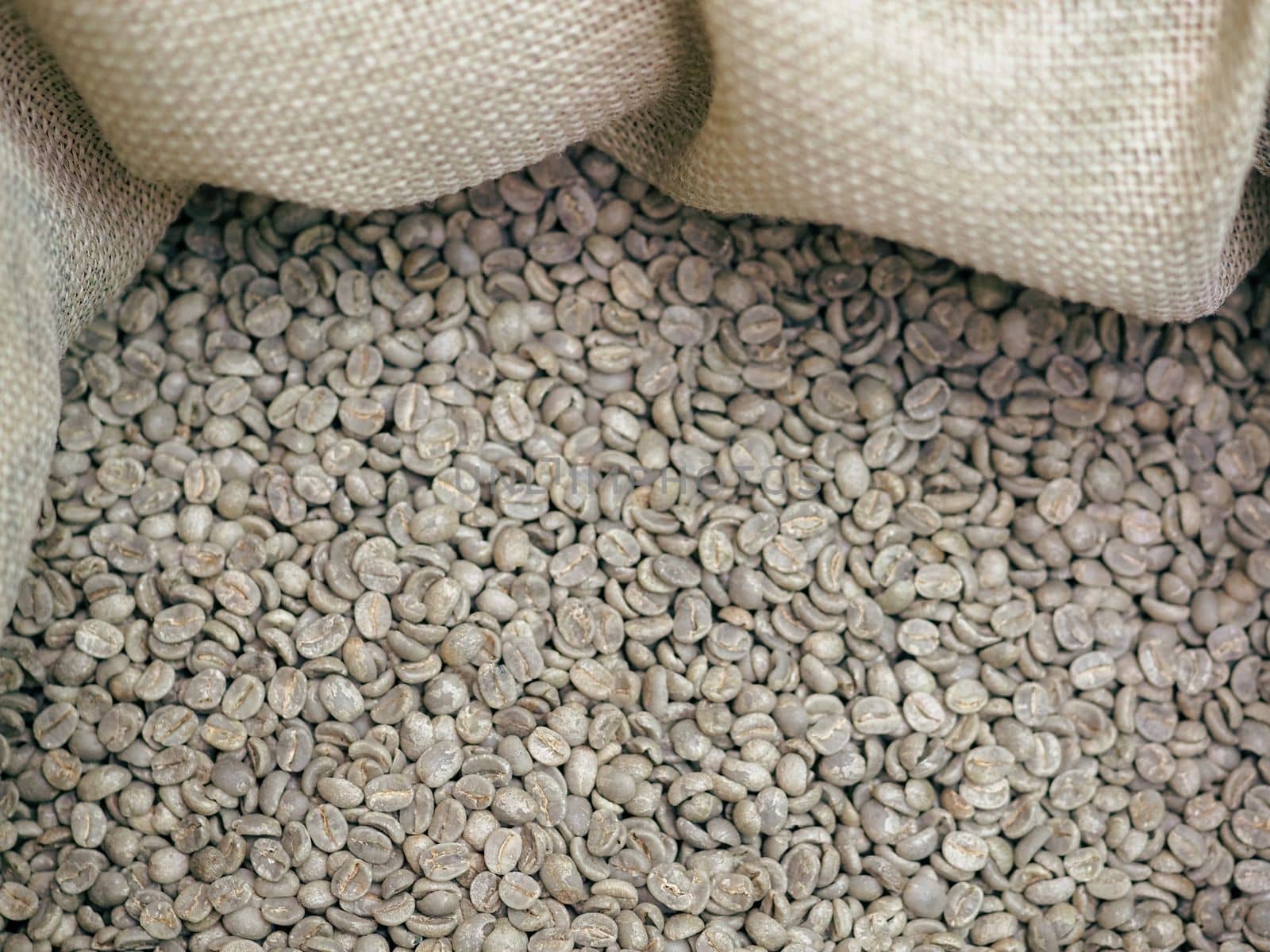 group organic raw green arabica coffee beans from latin america in sackcloth by verbano