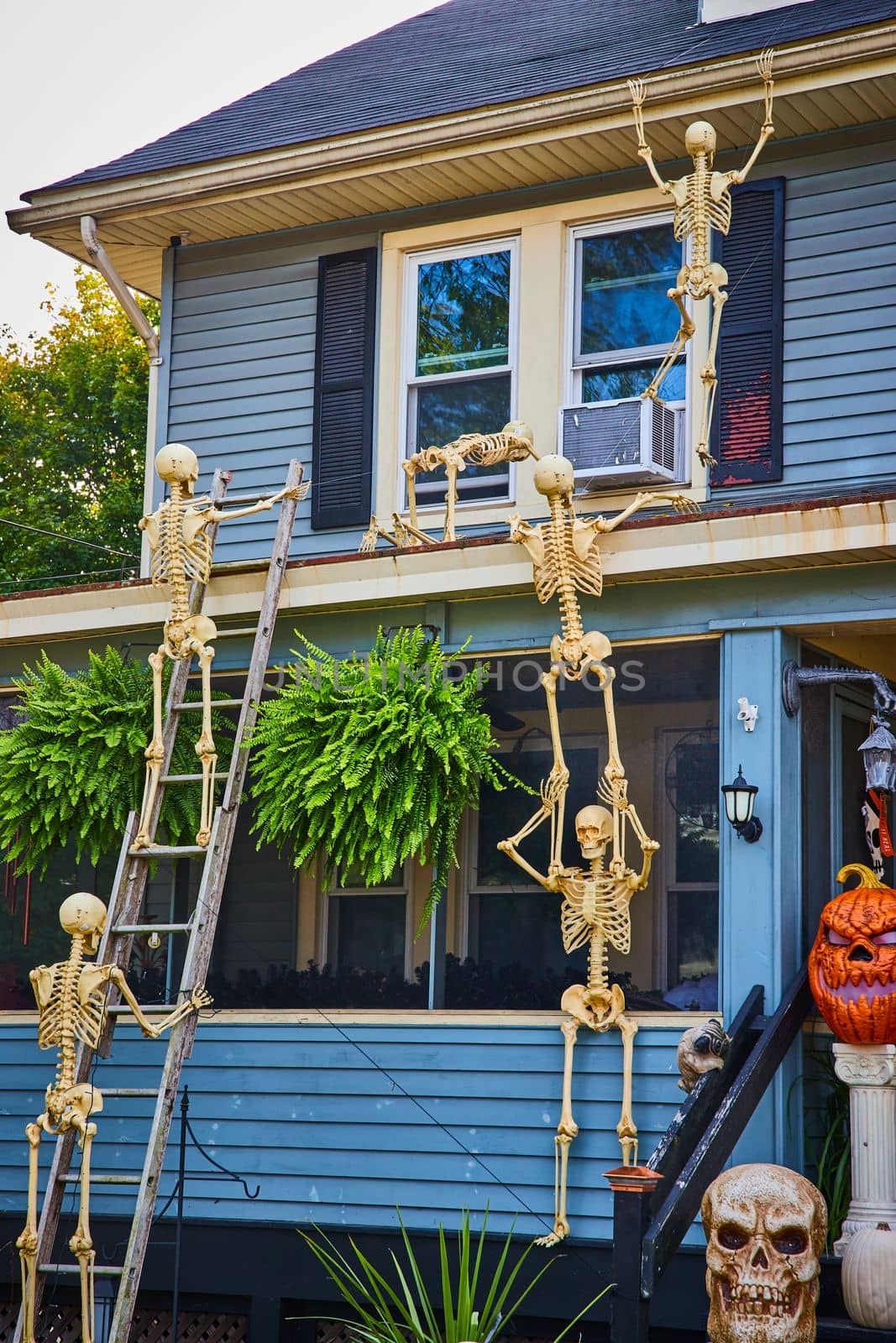 Image of Halloween decorations on exterior of home with skeletons climbing up to roof