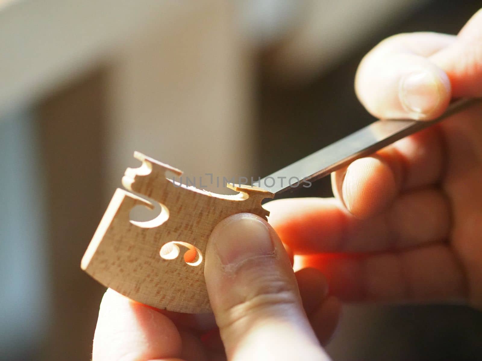 artisan placing the violin, viola, or cello bridge for playability, tone, and structural integrity