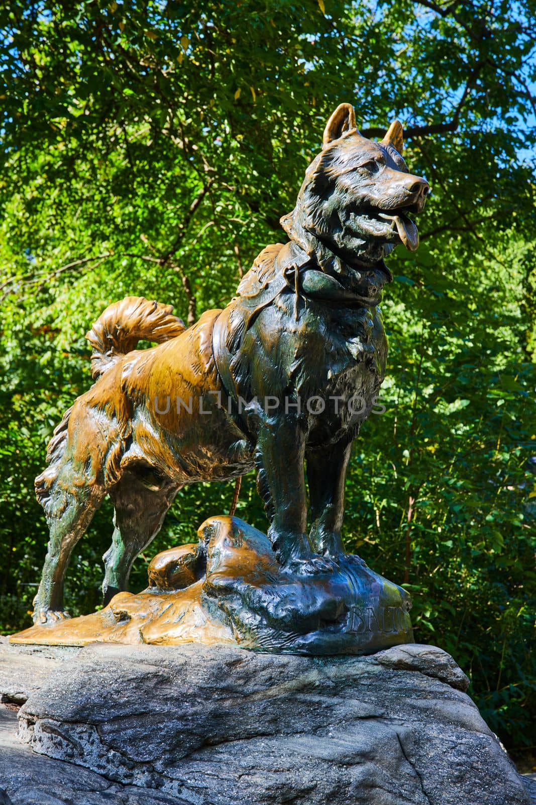 Image of Iconic Balto sled dog statue in Central Park New York City
