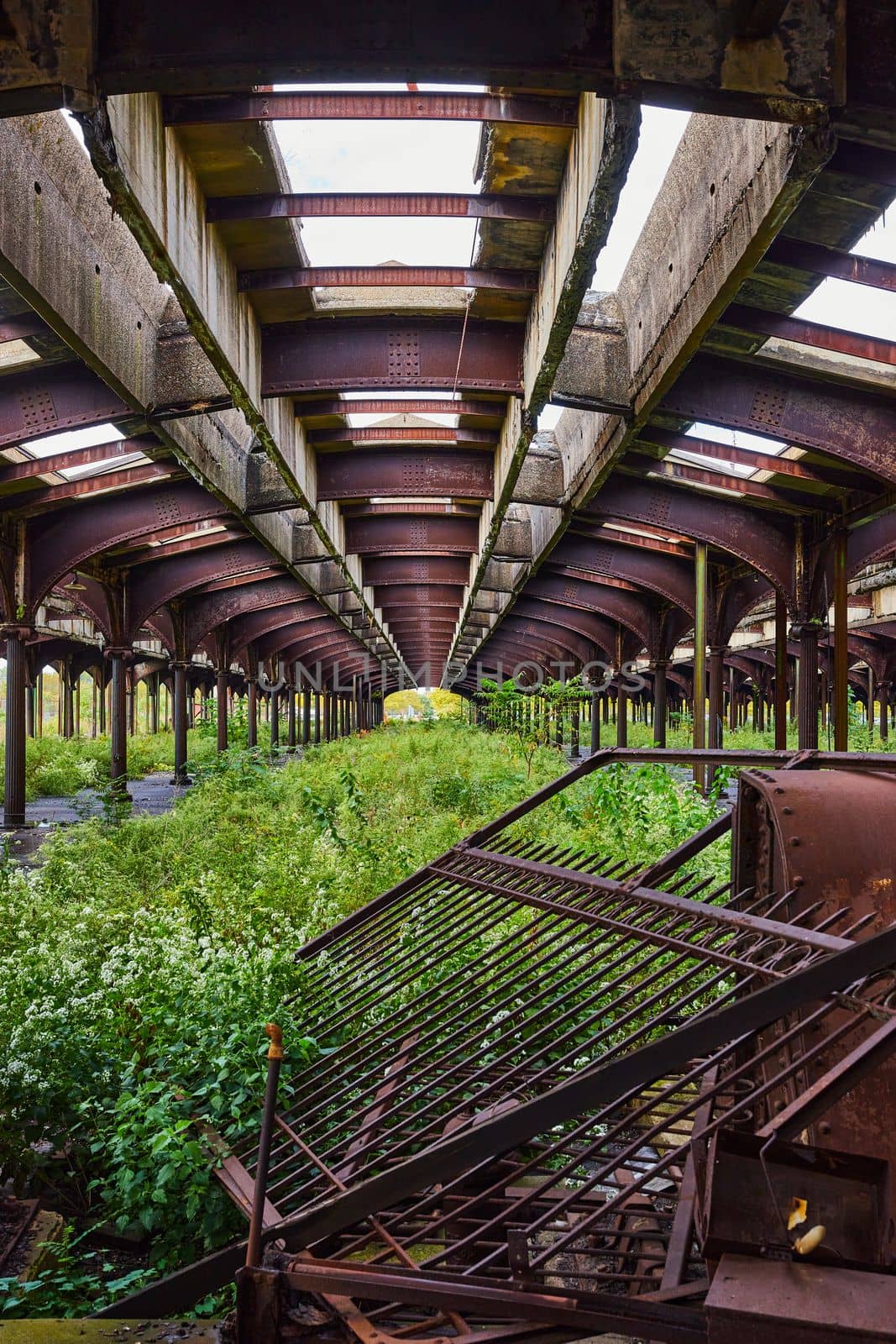 Image of Collapsed gate and overgrowth in abandoned outside train station with rusted ceiling