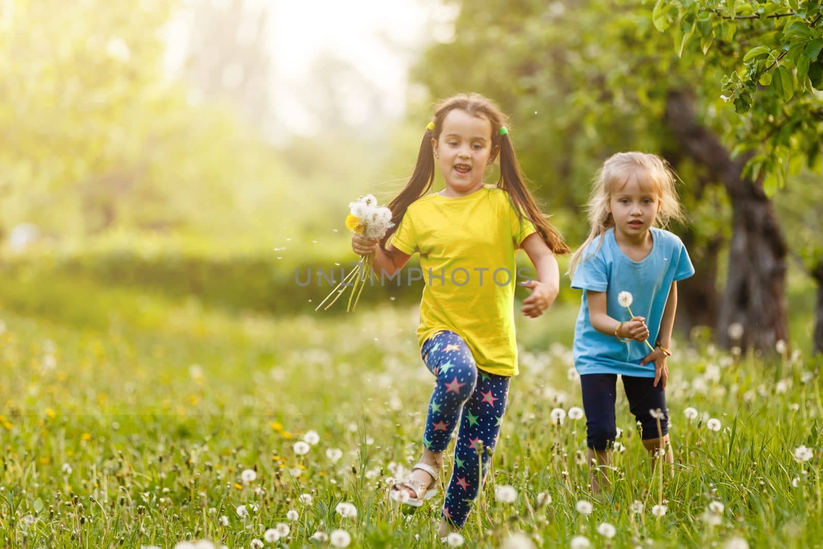two little girls with dandelions little sister on the background of spring meadow. by Andelov13