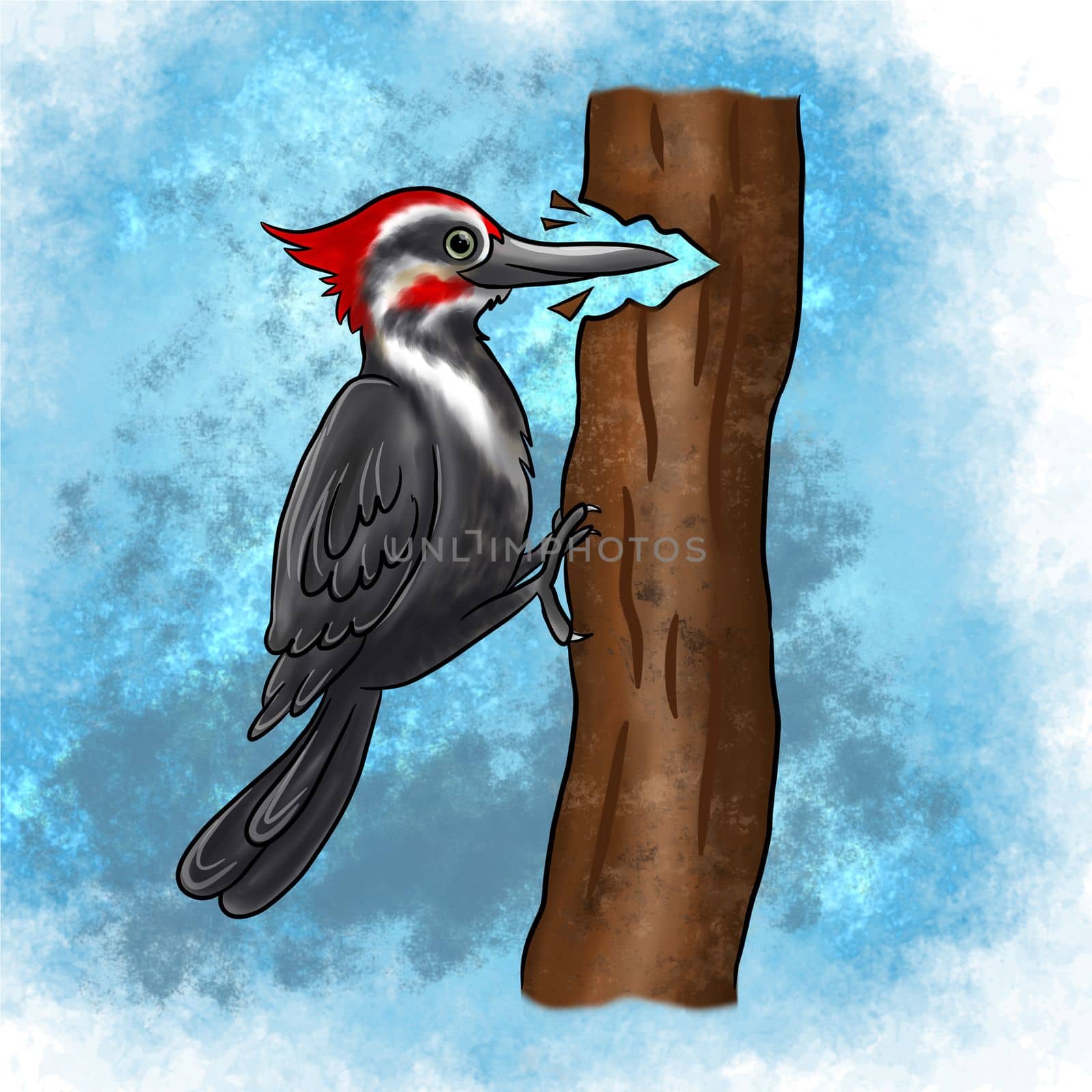 A woodpecker bird pecks at the bark of a tree on an isolated background. Clipart birds. by Alina_Lebed