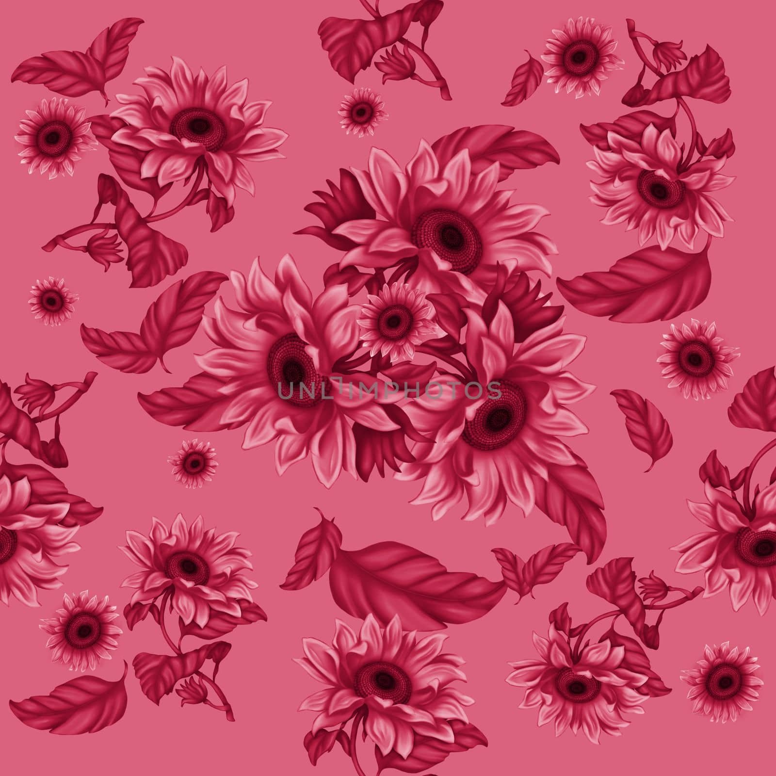 Seamless pattern for printing. Illustration of sunflower flowers. Bright flowers on a light background. Summer, sunflowers.Viva Magenta Background color