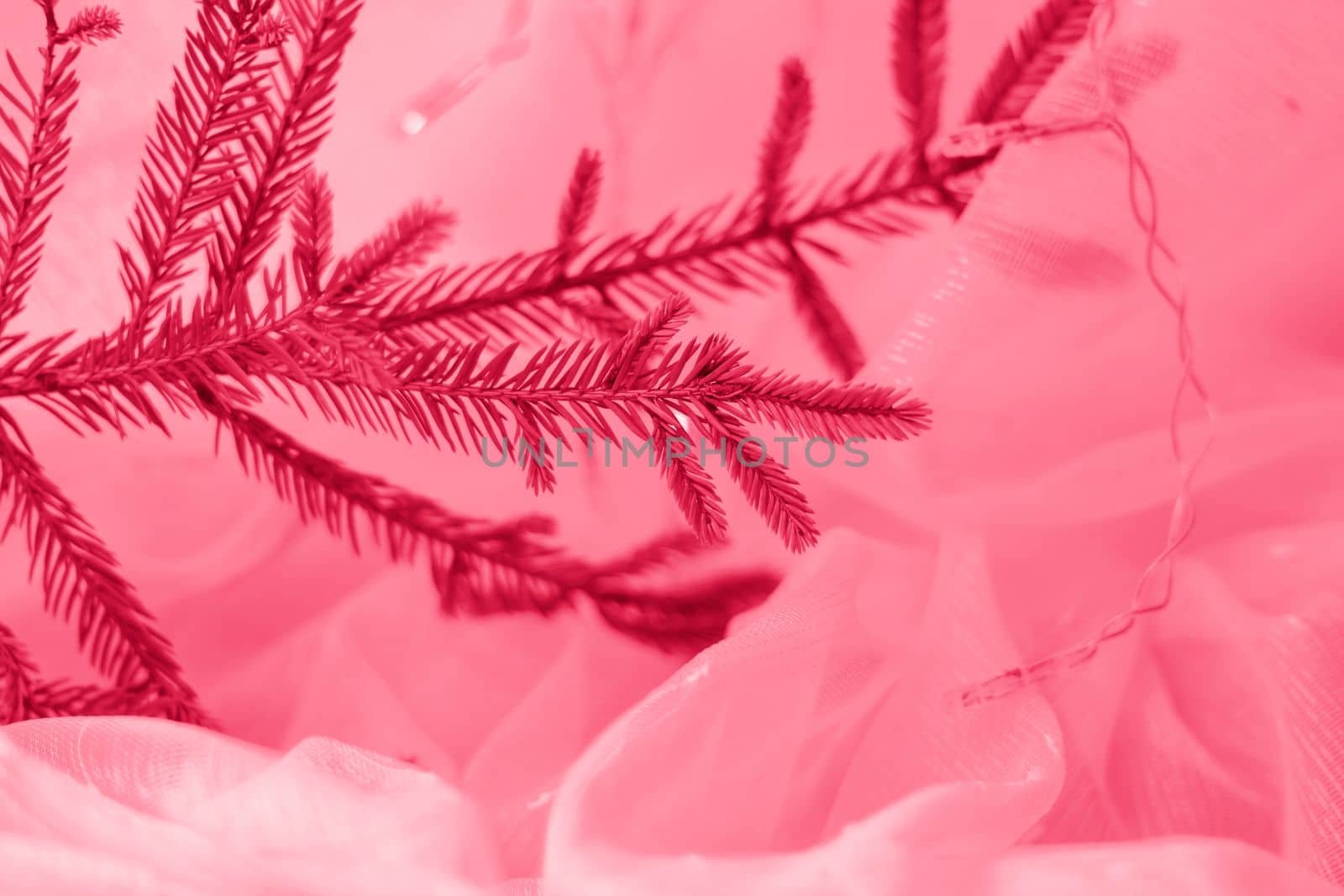 Christmas background with a twig if . Selective focus. the concept of Christmas and New Year. background for the banner.Viva Magenta Background color
