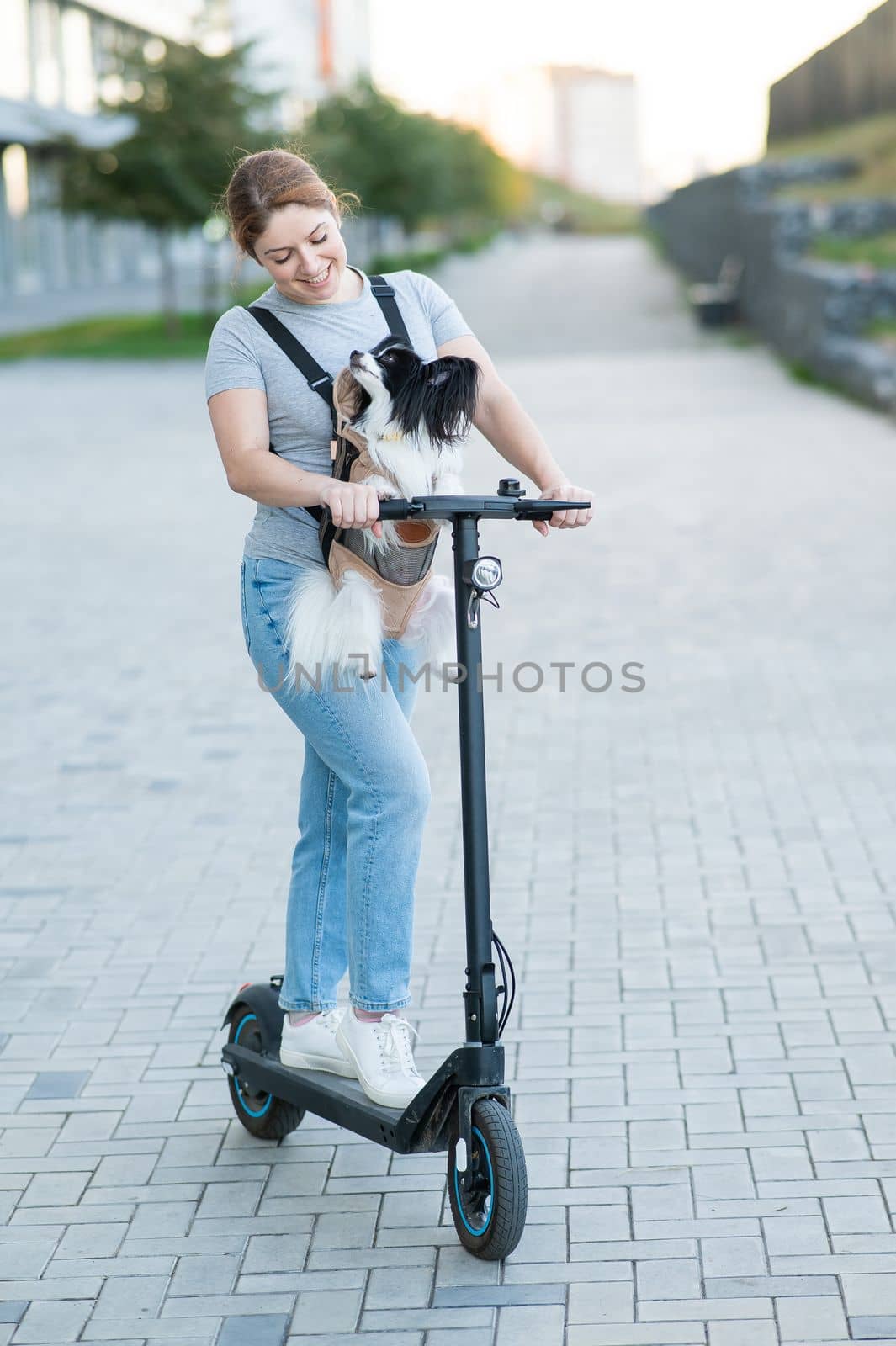 A woman rides an electric scooter with a dog in a backpack. Pappilion Spaniel Continental in a sling. Vertical. by mrwed54