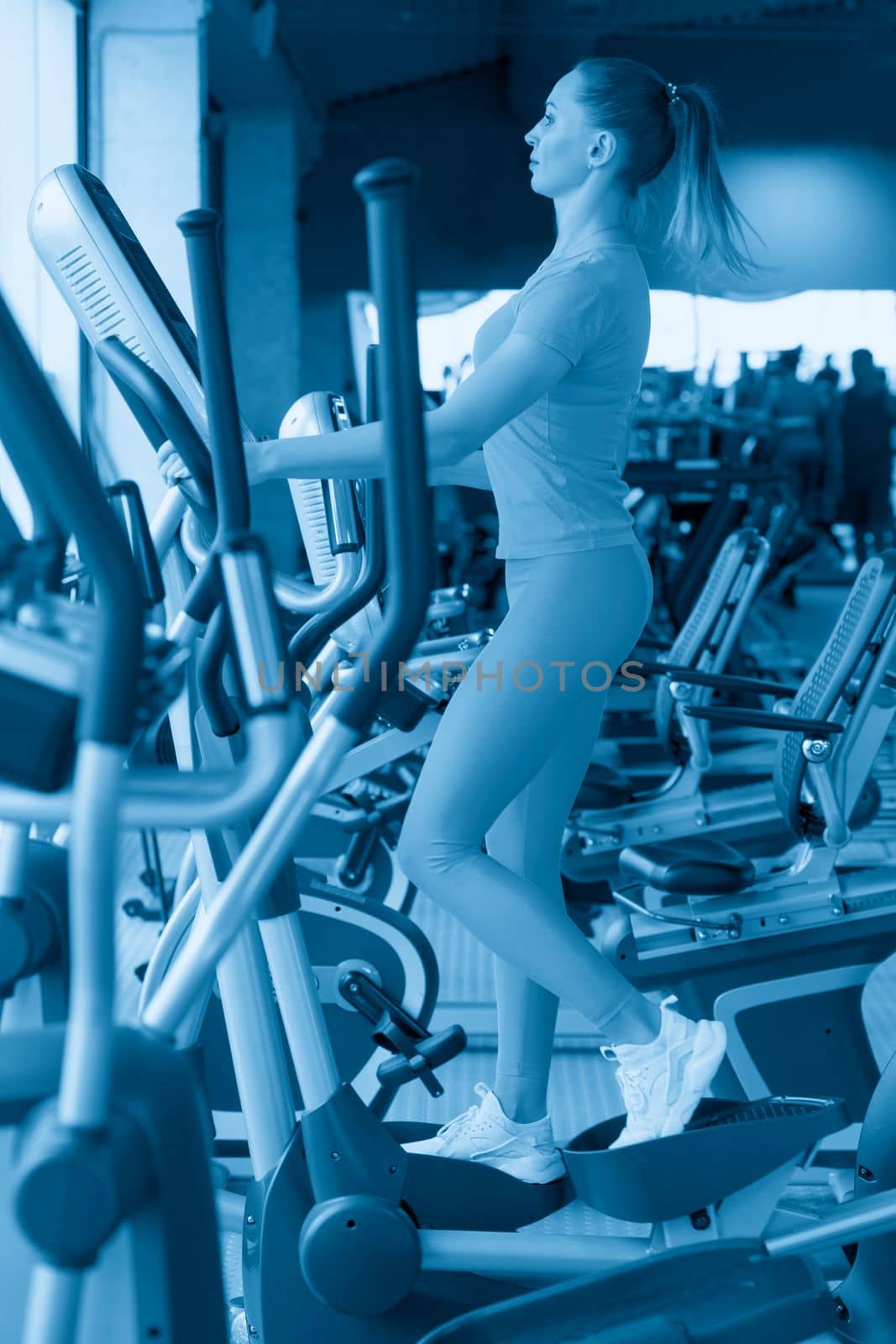 Woman Working Out On Elliptical Machine in gym by Mariakray