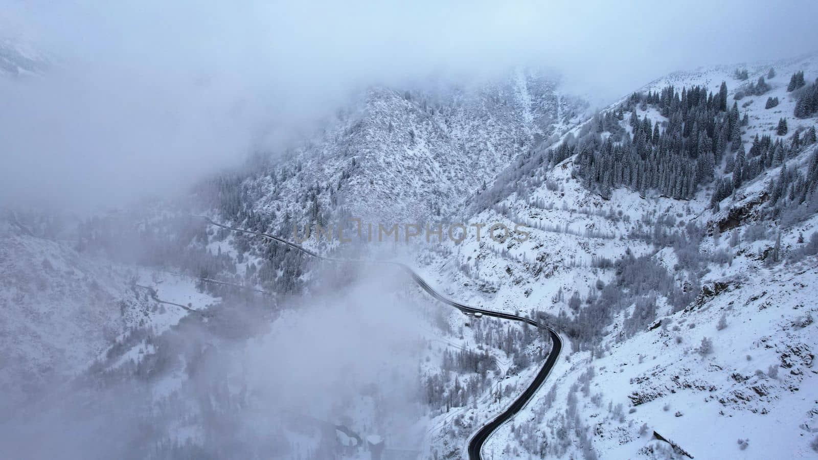 Snowy mountains with coniferous trees in clouds by Passcal