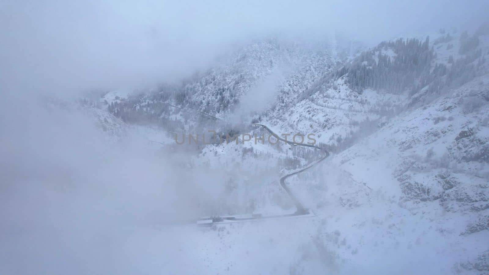 Snowy mountains with coniferous trees in clouds by Passcal