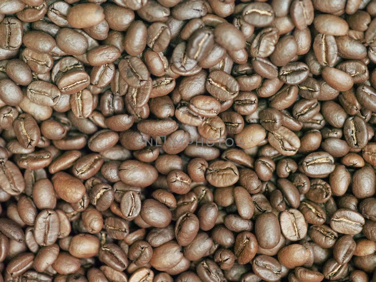 brown roasted coffee beans macro closeup making the blend series