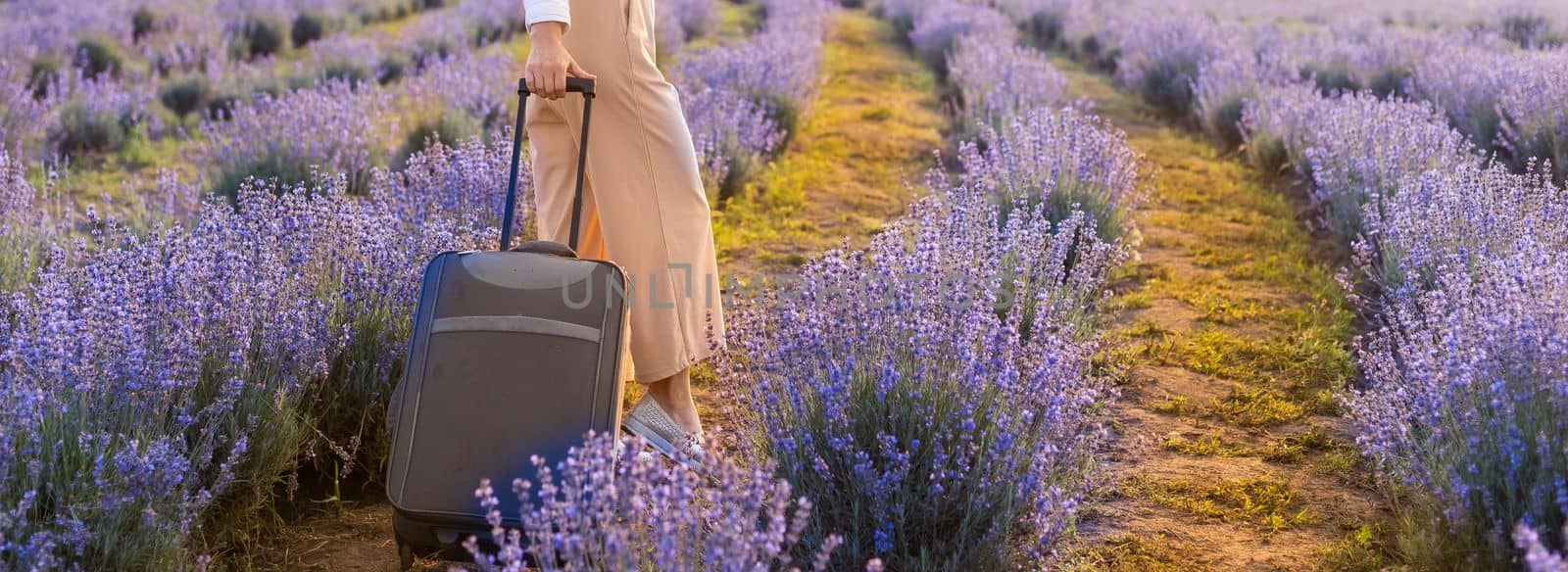 Full length portrait of pretty young lady, wearing light dress, straw hat, walking with bag in summer flowering lavender field, enjoying scent of lavender.