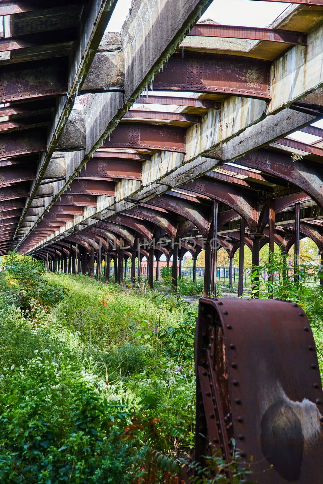 Image of Overgrowth fills abandoned train track station with arched steel ceiling to sky