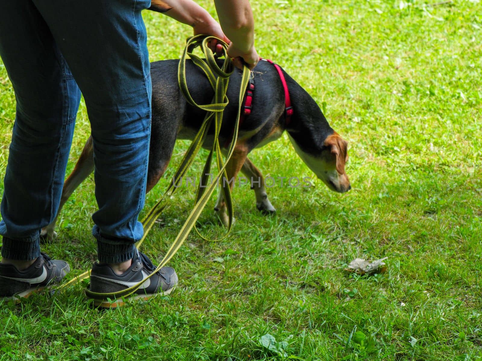 owner and dog in the park