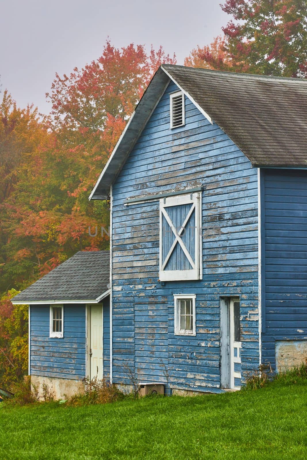 Image of Blue fading peeling barn or shed detail against colorful fall forest