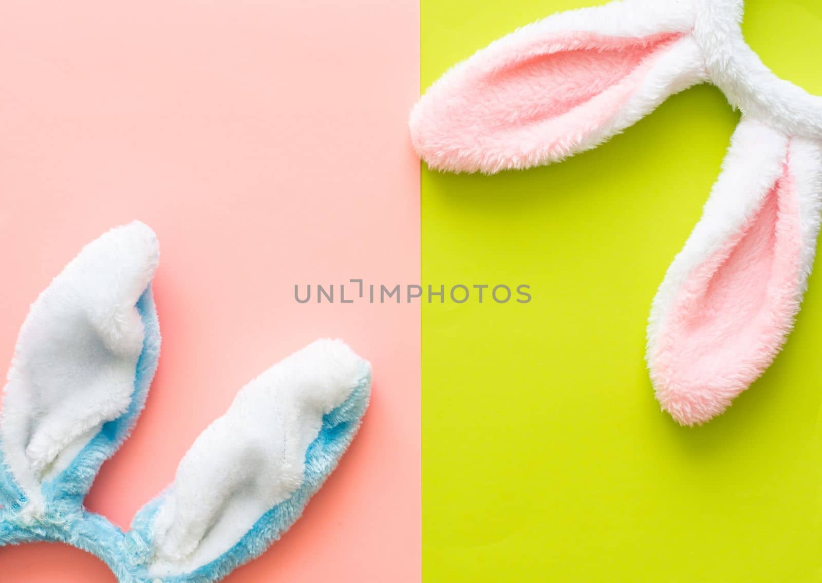Easter bunny ears isolated on background by Andelov13