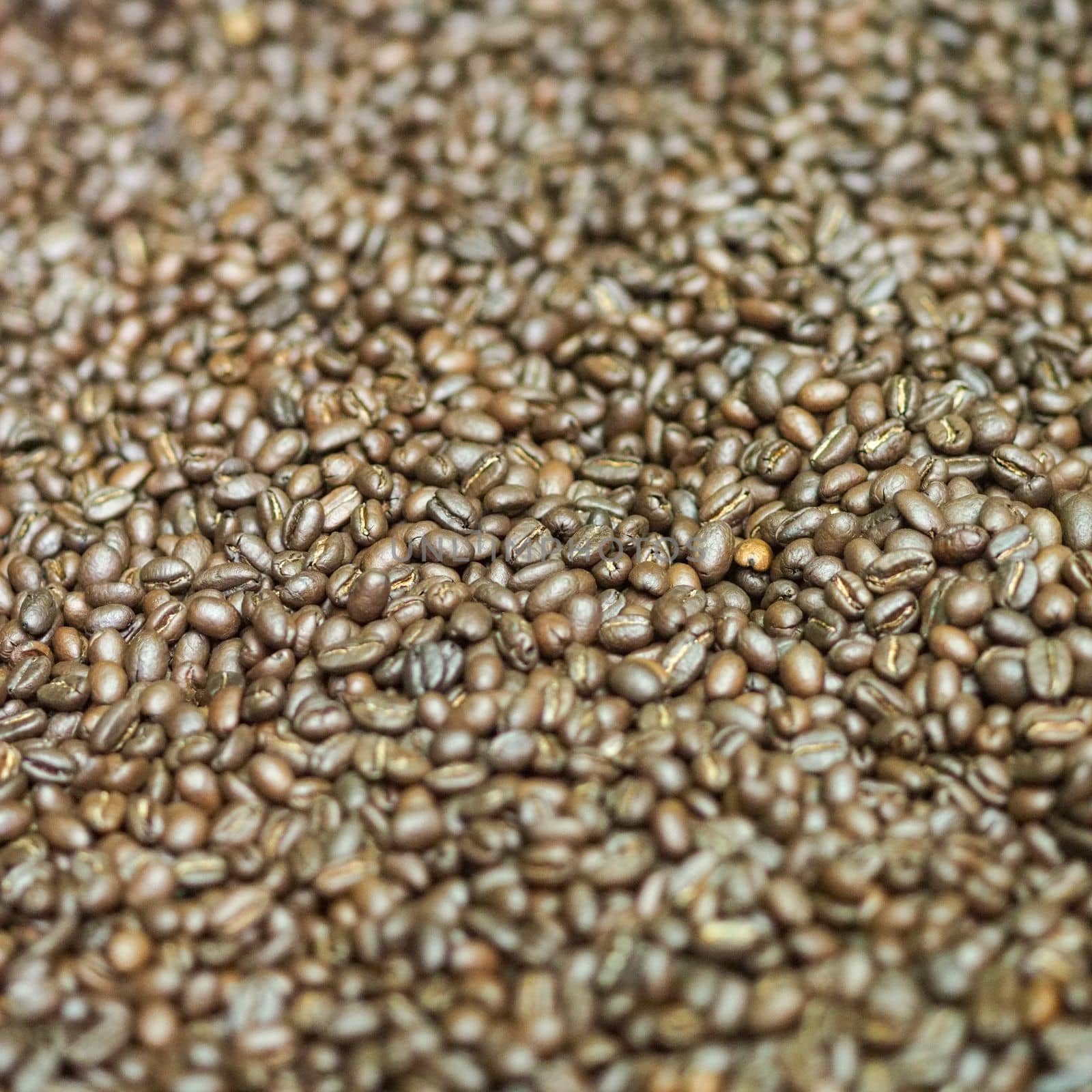 brown roasted coffee beans macro closeup