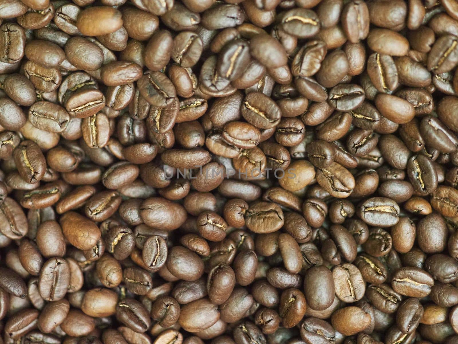brown roasted coffee beans macro closeup making the blend series