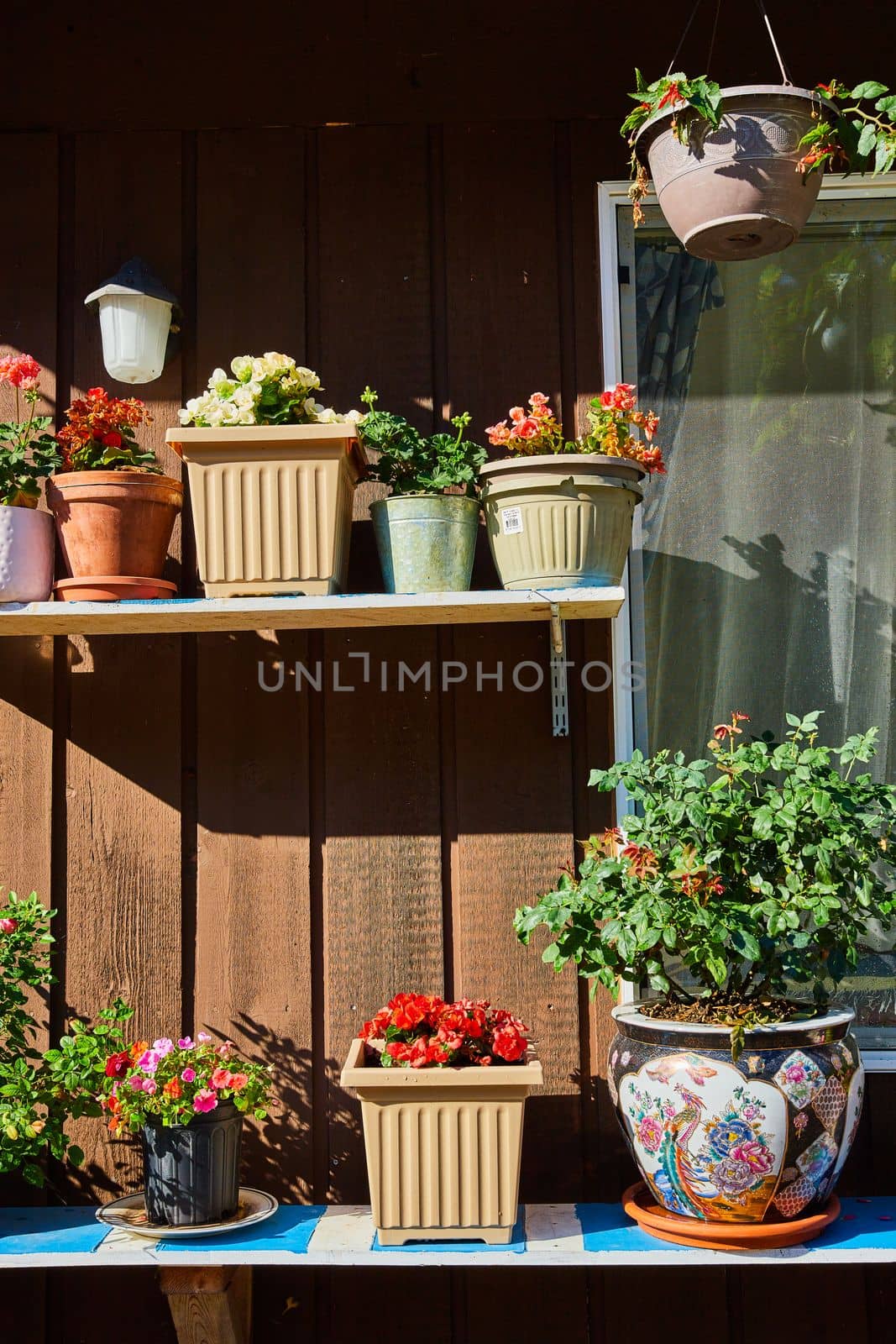 Image of Home exterior with shelves covered in flowerpots and plants