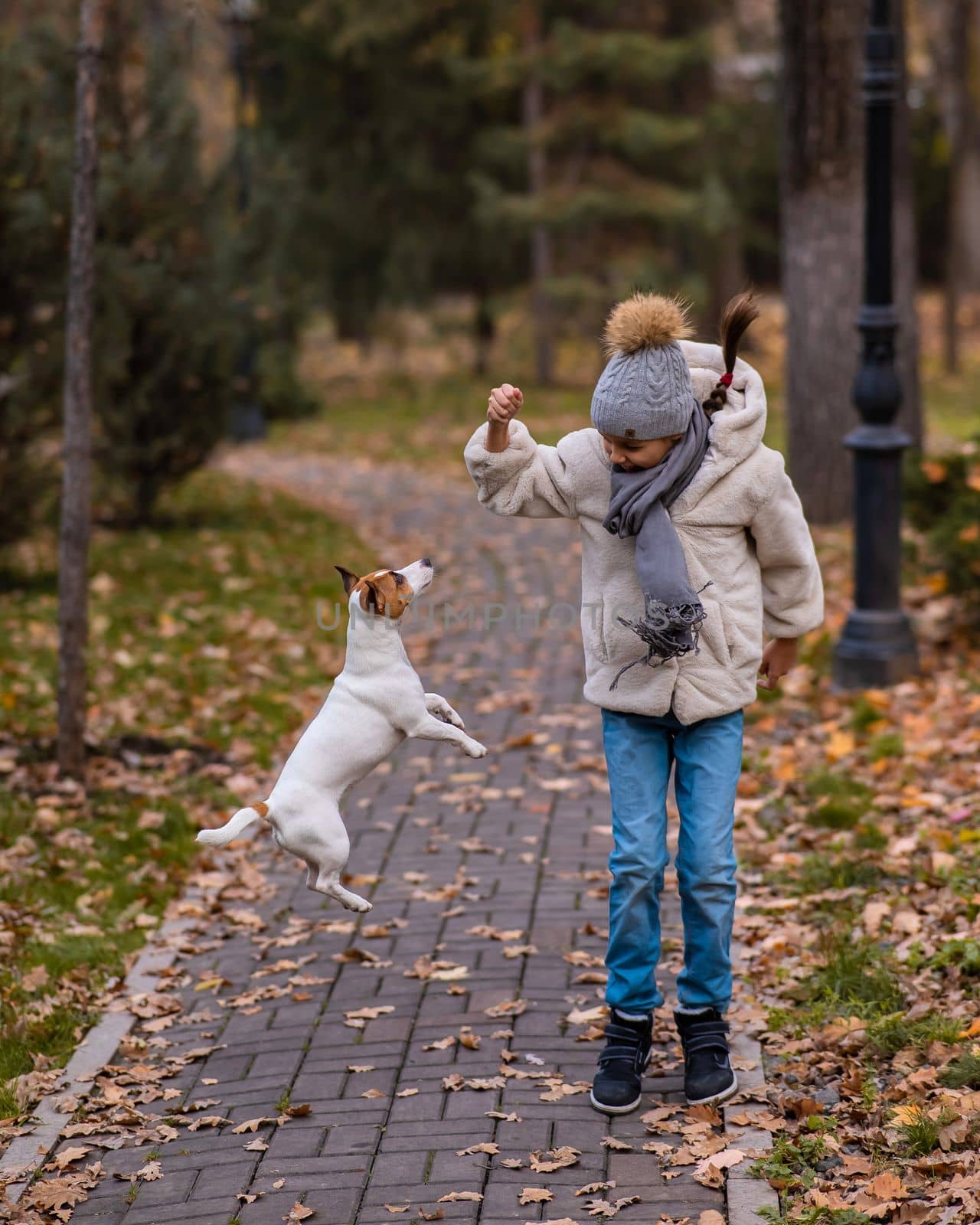 Caucasian girl playing with a dog for a walk in the autumn park