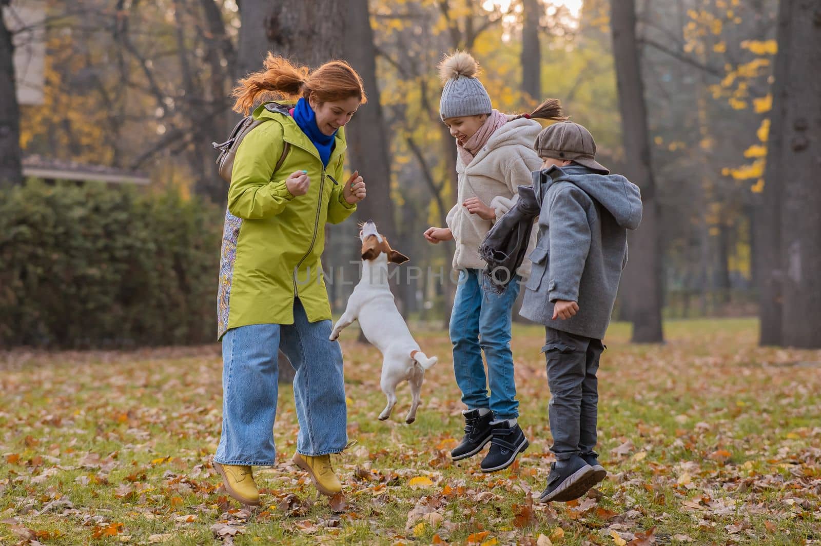Caucasian children and red-haired woman play with dog jack russell terrier in autumn park