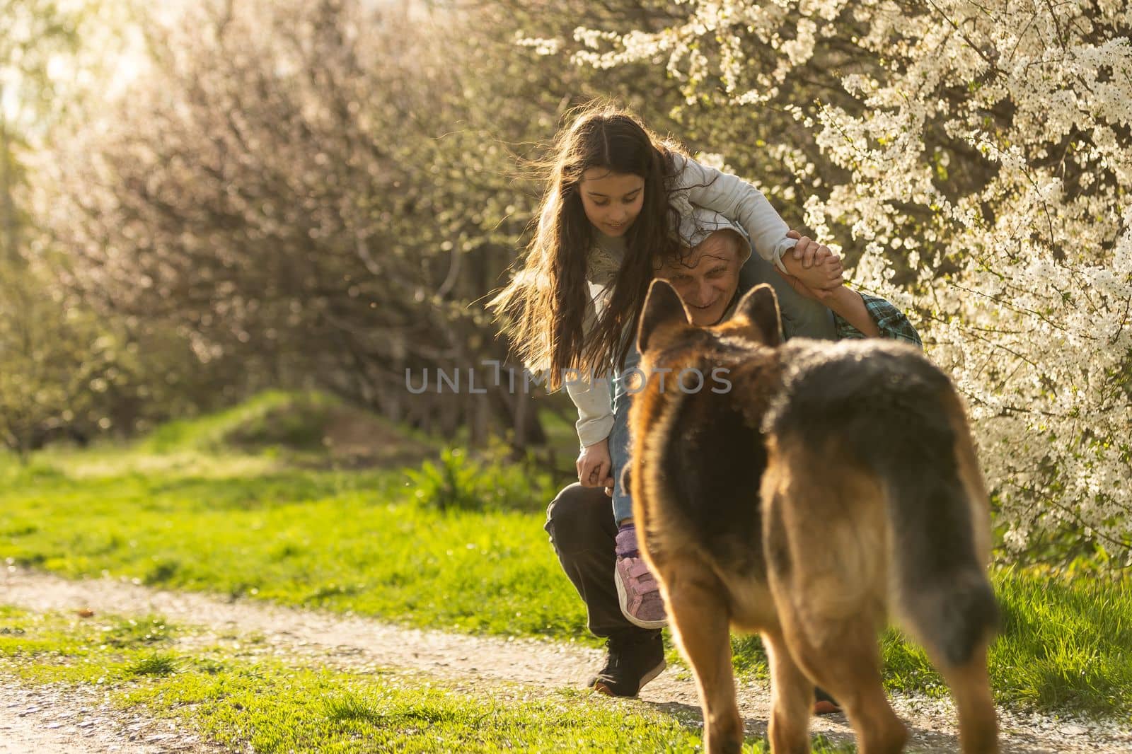 Grandfather and granddaughter with dog shepherd in the garden by Andelov13