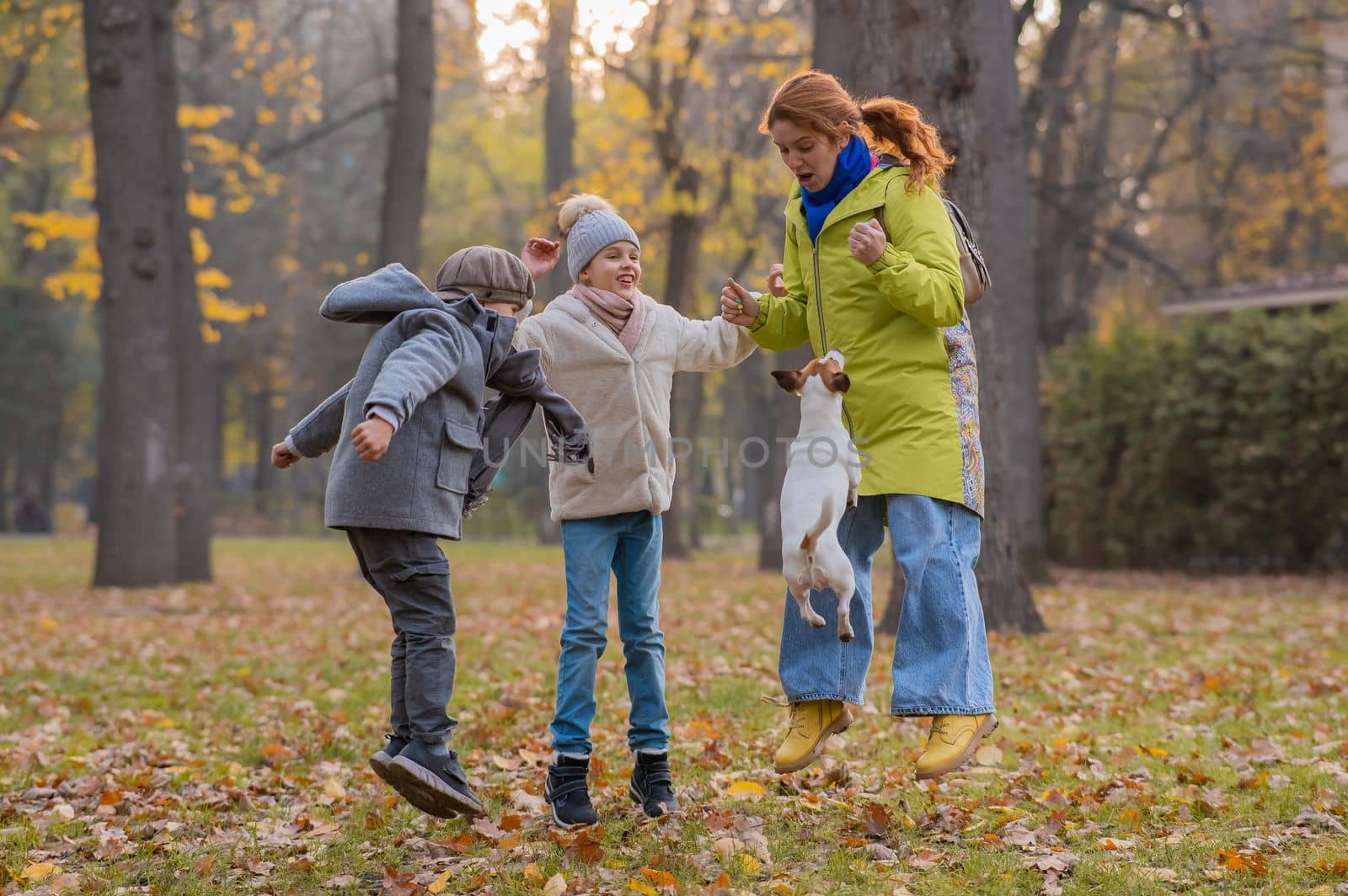 Caucasian children and red-haired woman play with dog jack russell terrier in autumn park. by mrwed54