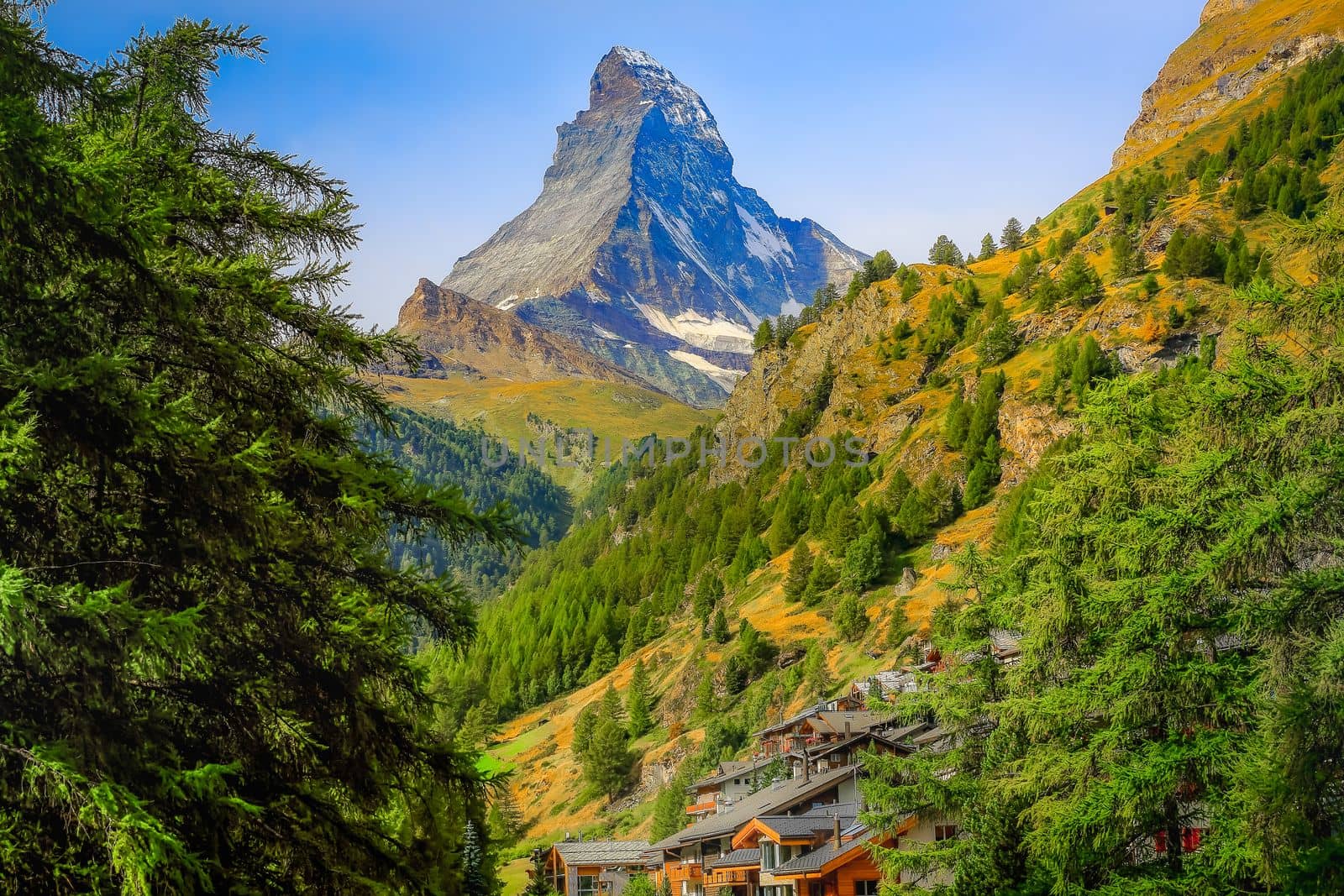 Matterhorn above zermatt pine trees woodland idyllic valley, Swiss Alps
